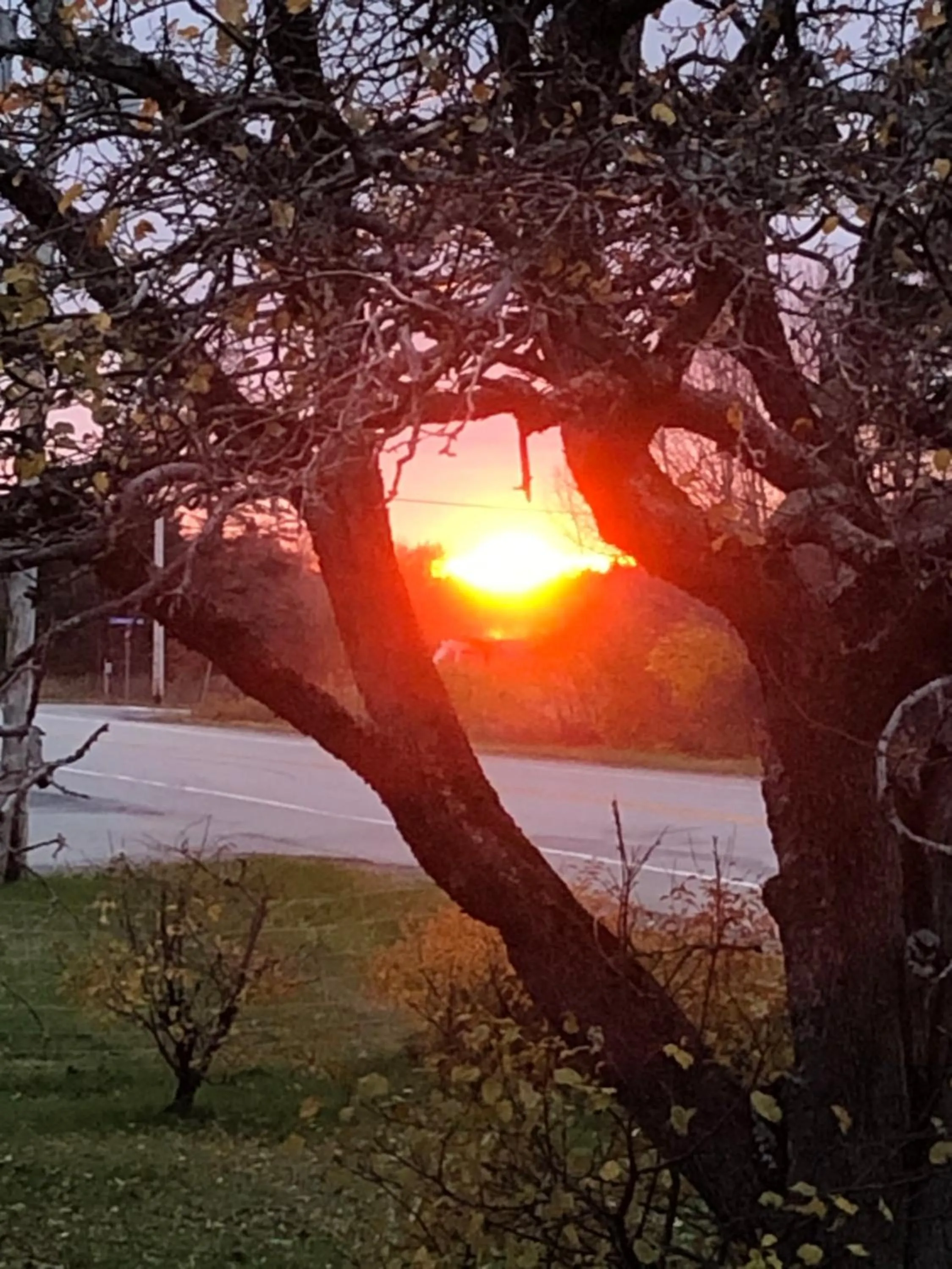 Sunset in Gite de la Baie Hatée