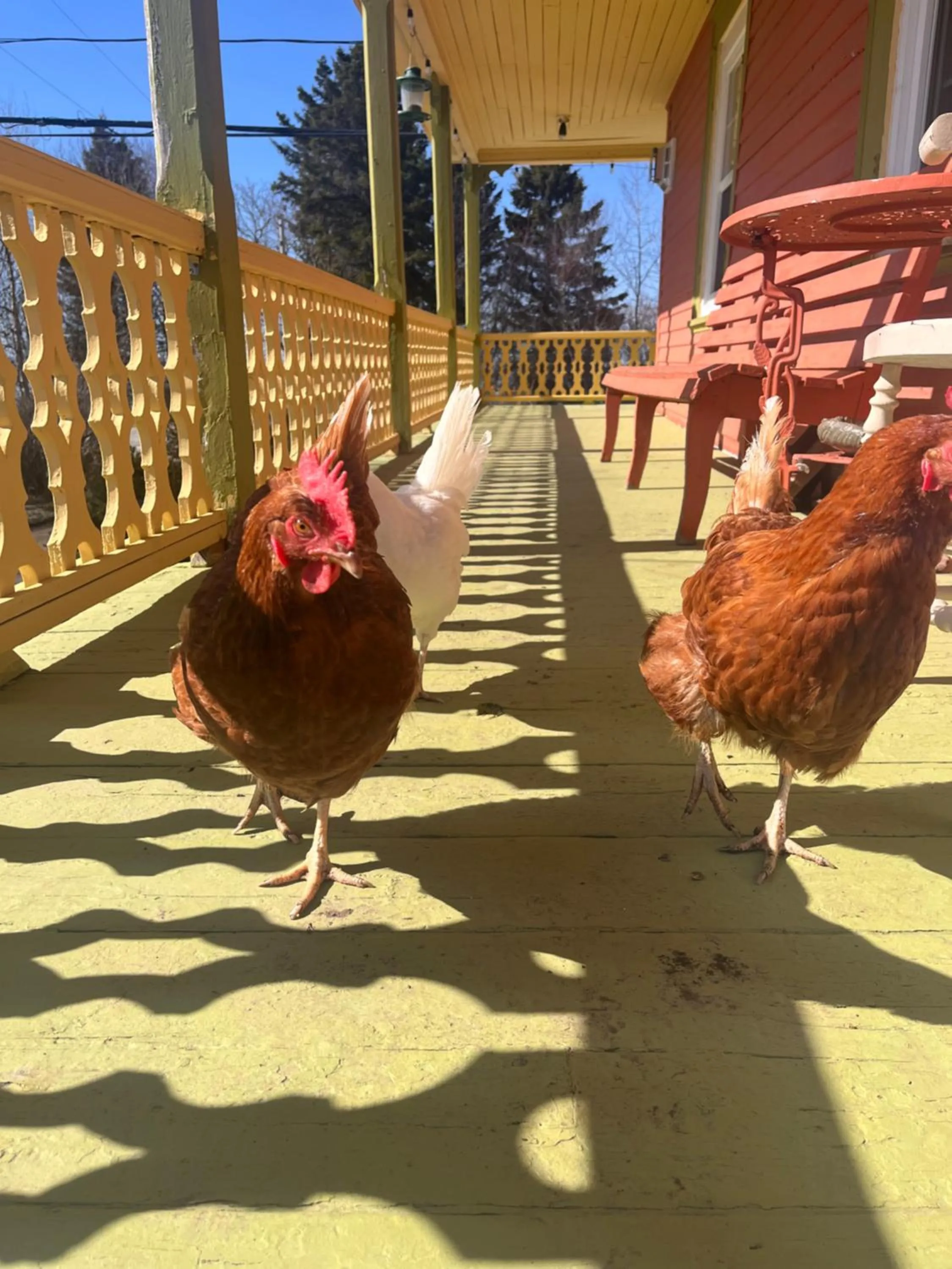 Gite de la Baie Hatée