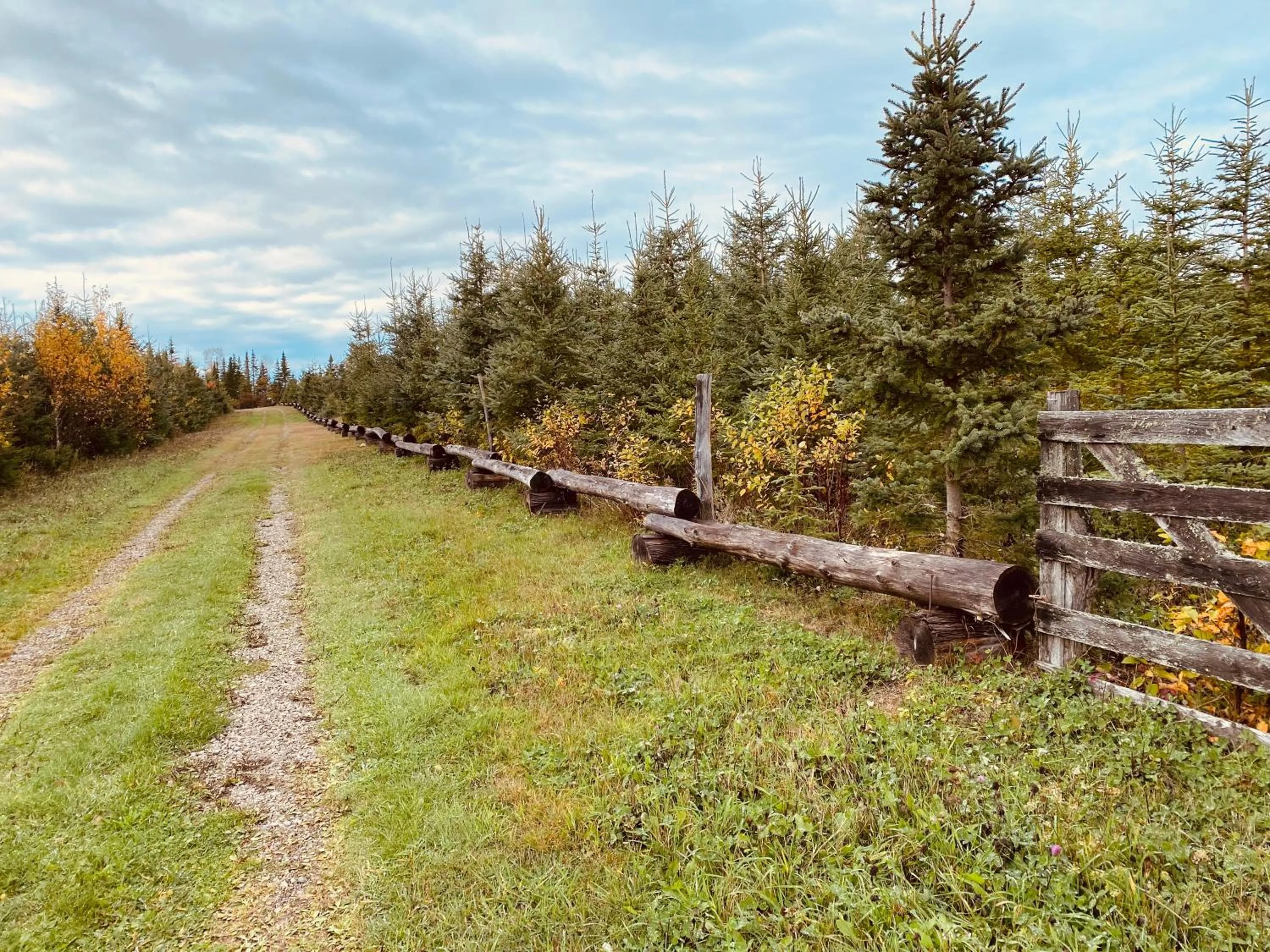 Gite de la Baie Hatée