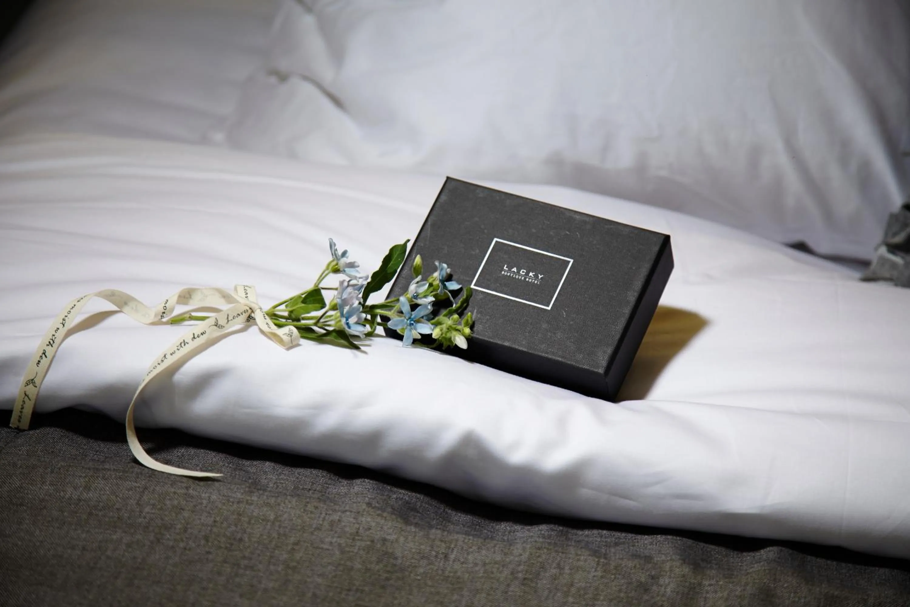 Other in Hotel Lacky Daejeon