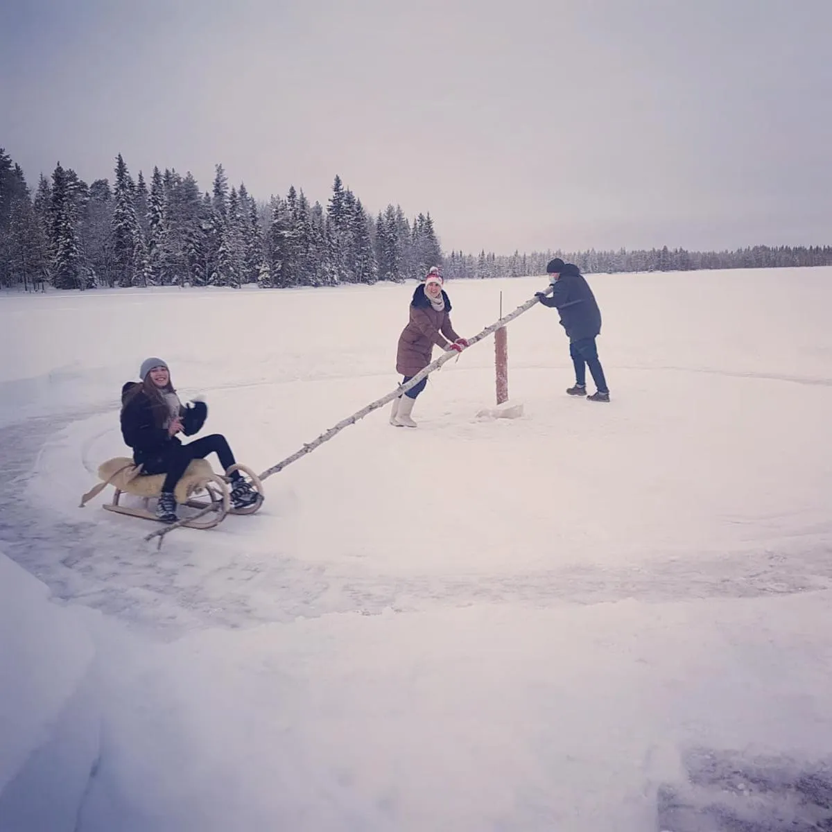 Activities in Metsä Kolo