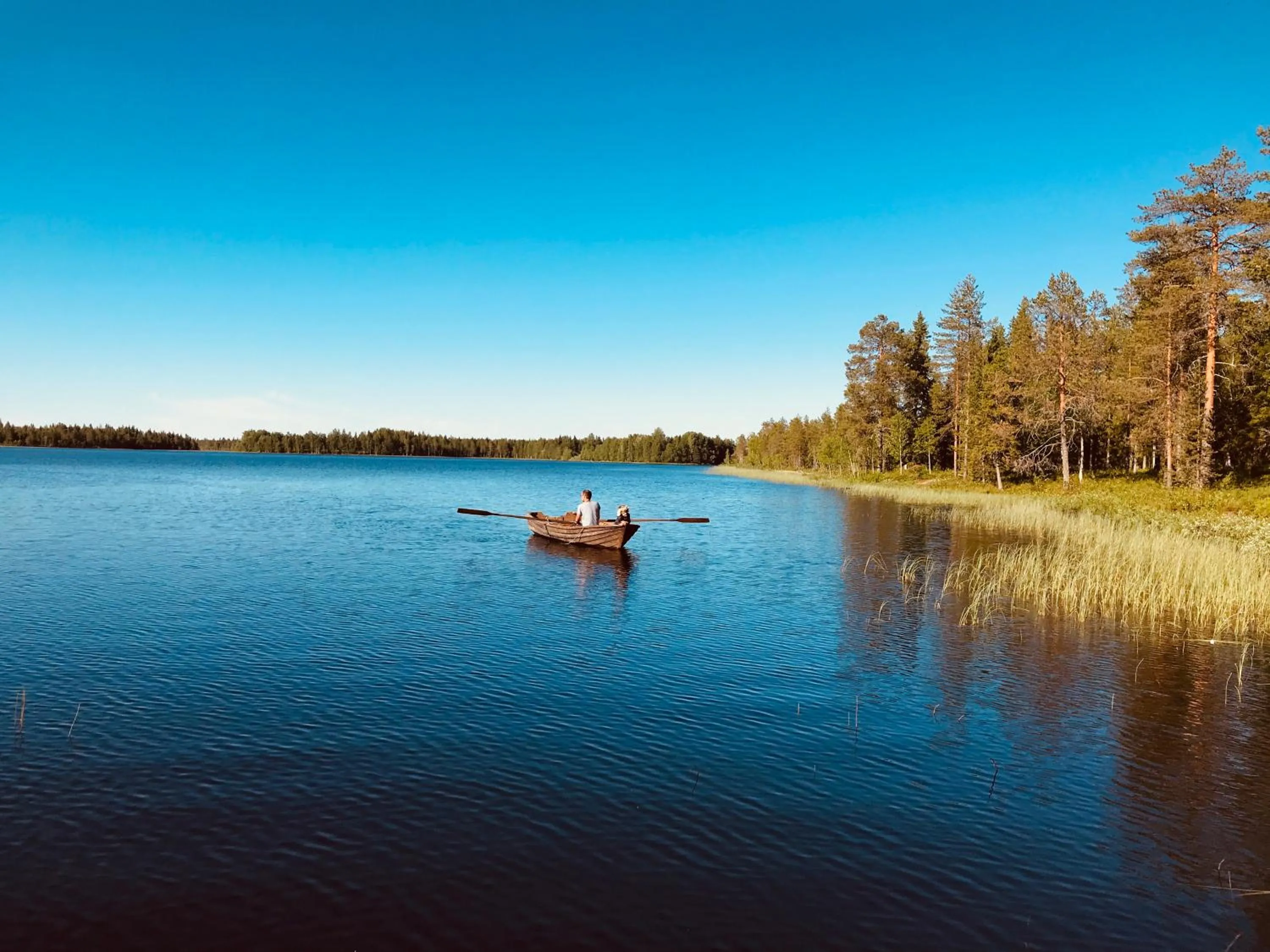 Property building in Metsä Kolo