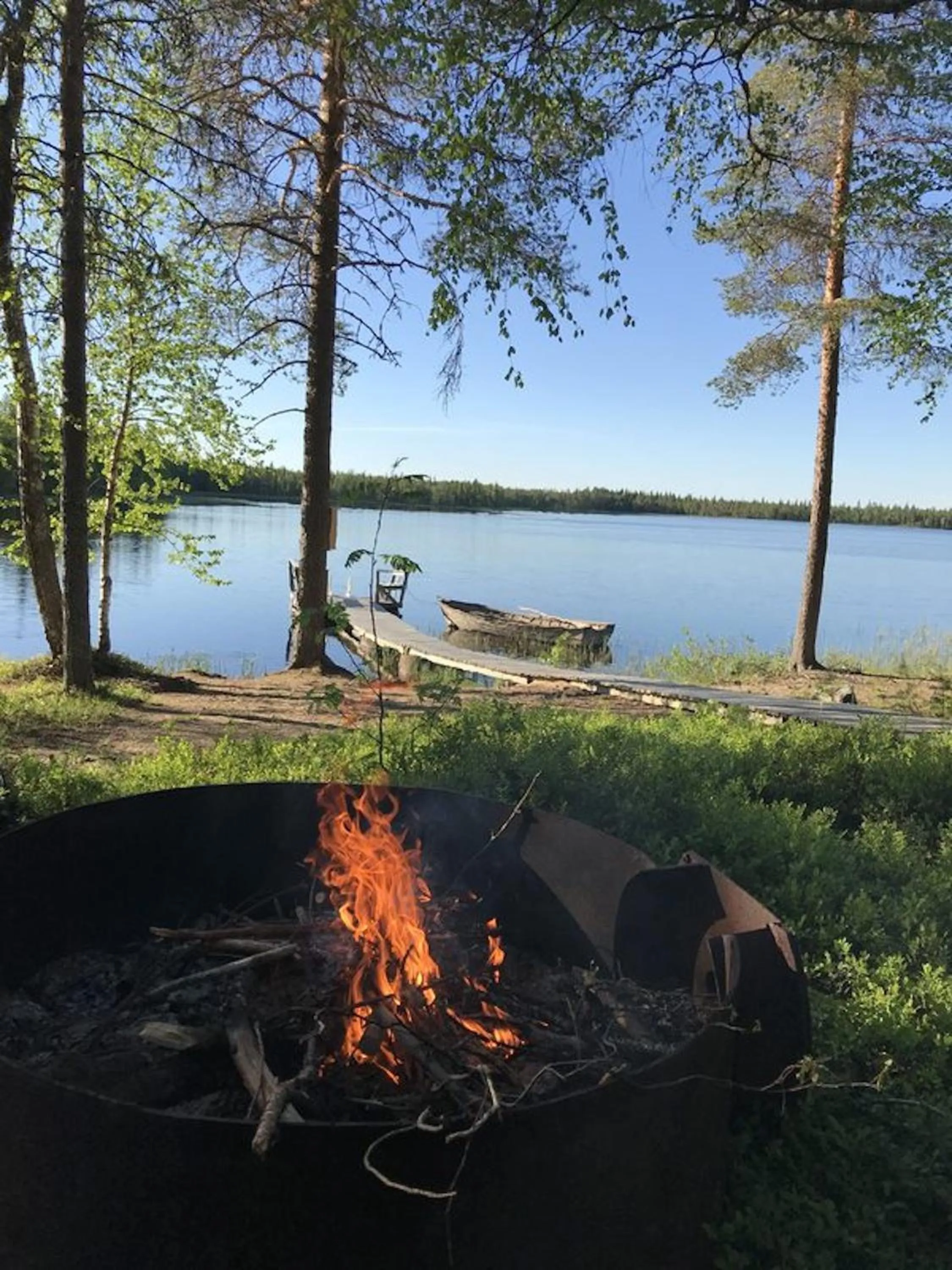 Lake view in Metsä Kolo