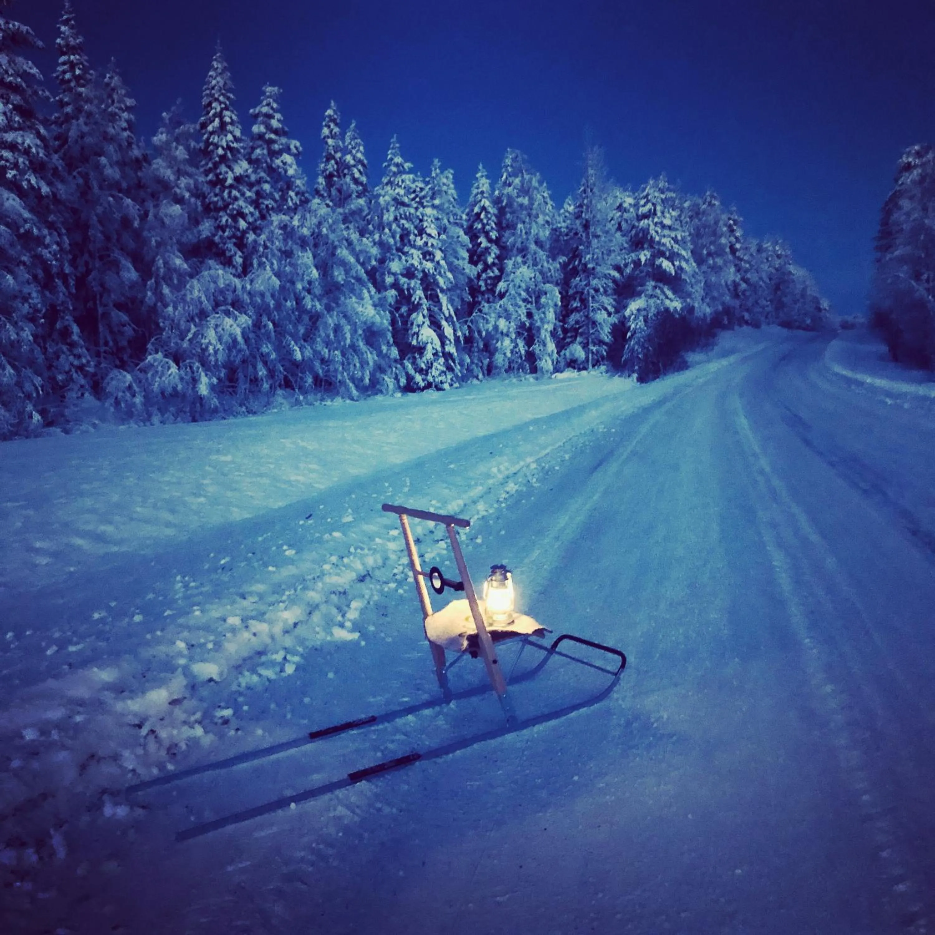 Property building in Metsä Kolo