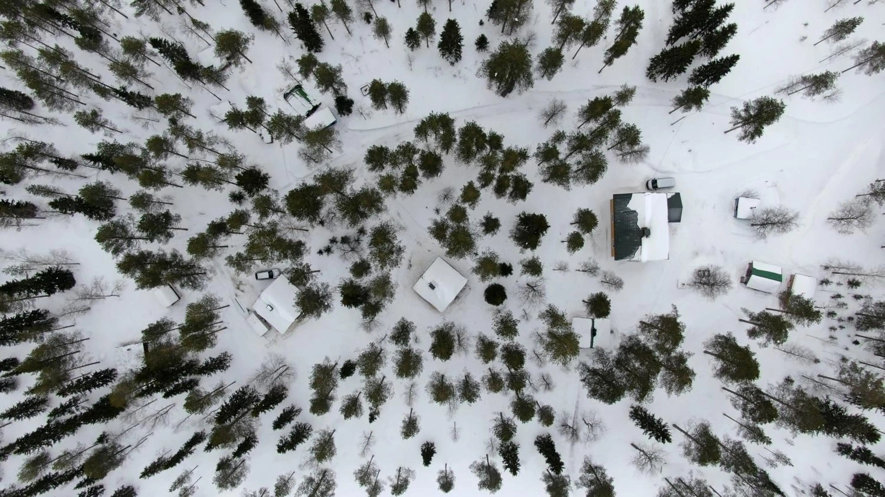 Property building in Metsä Kolo