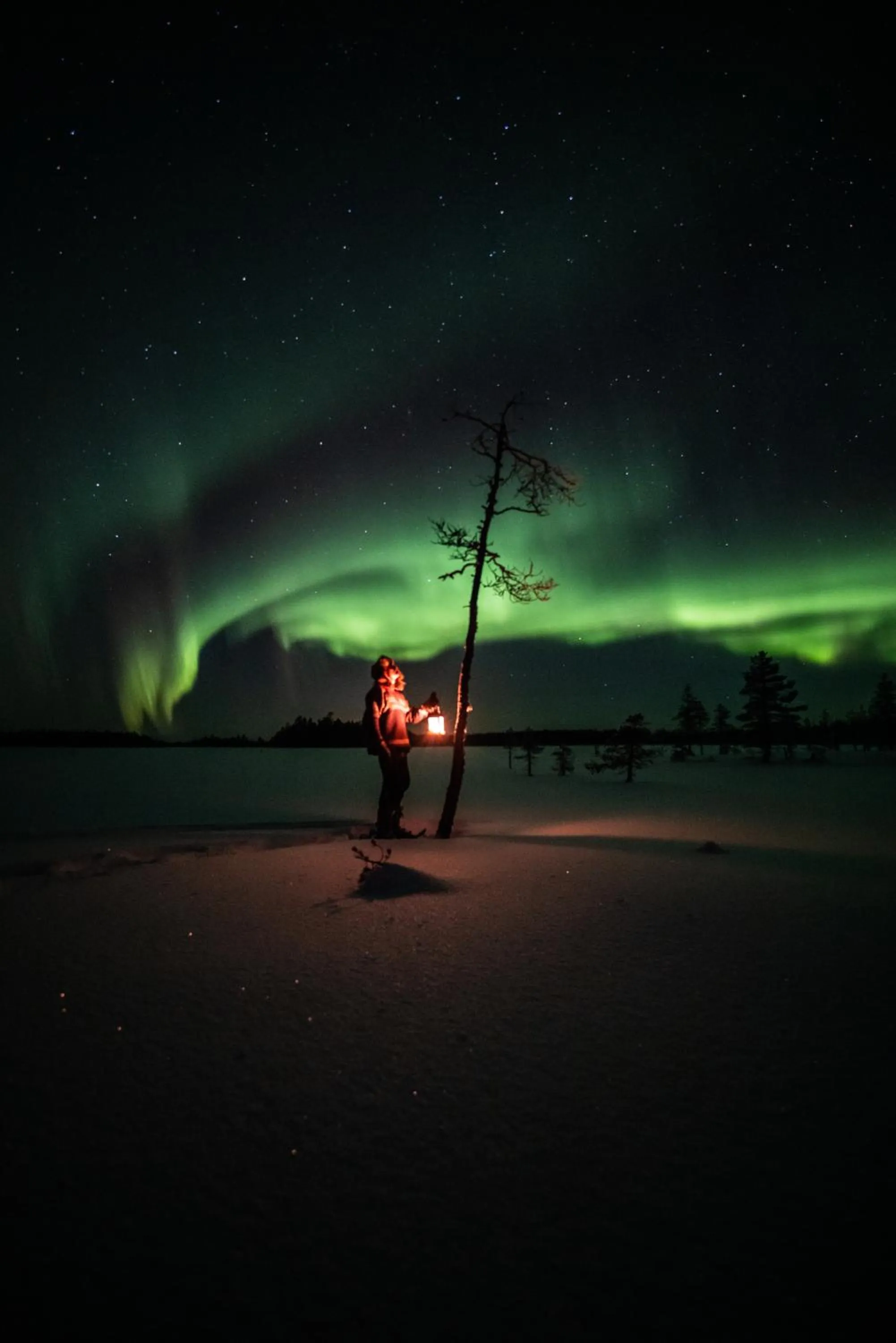 Seasons in Metsä Kolo