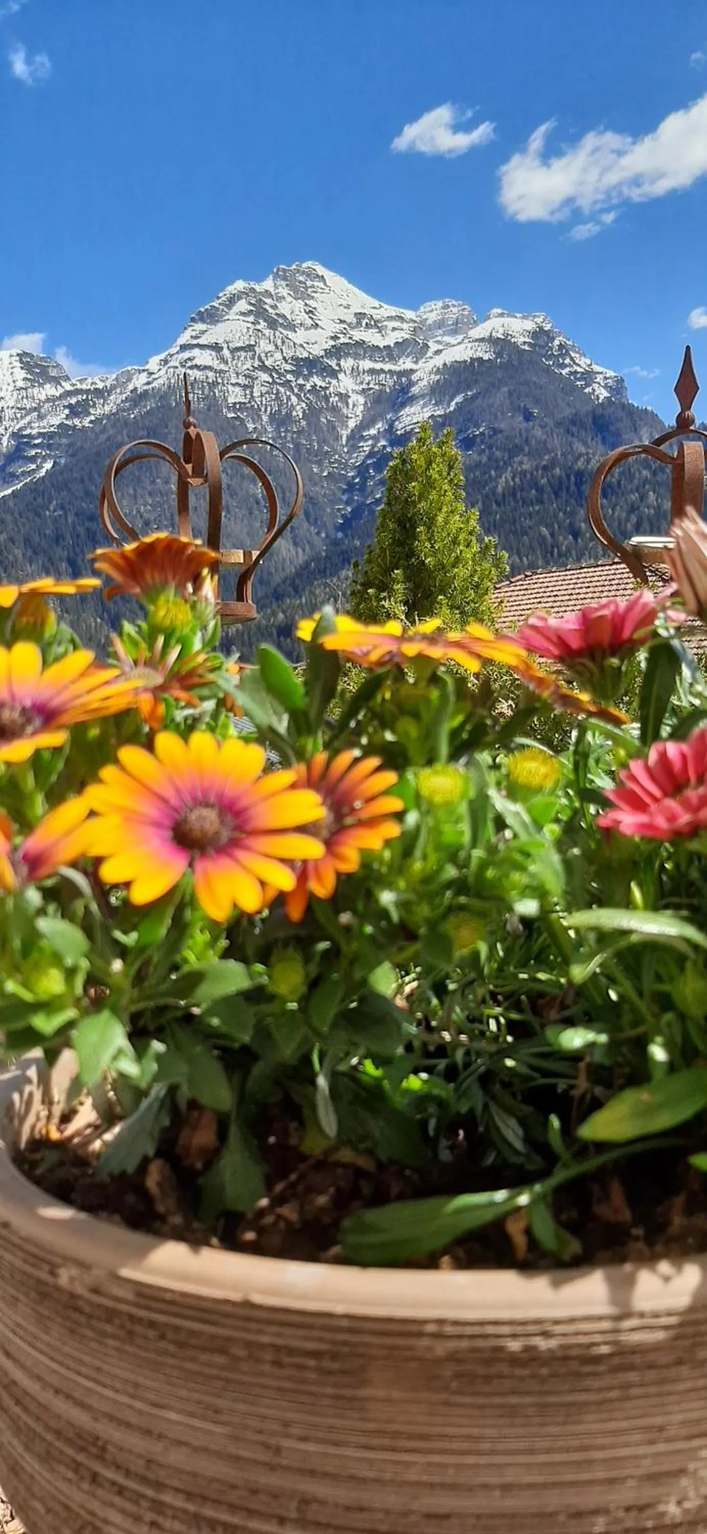 Garden view in B&B SognoInCadore