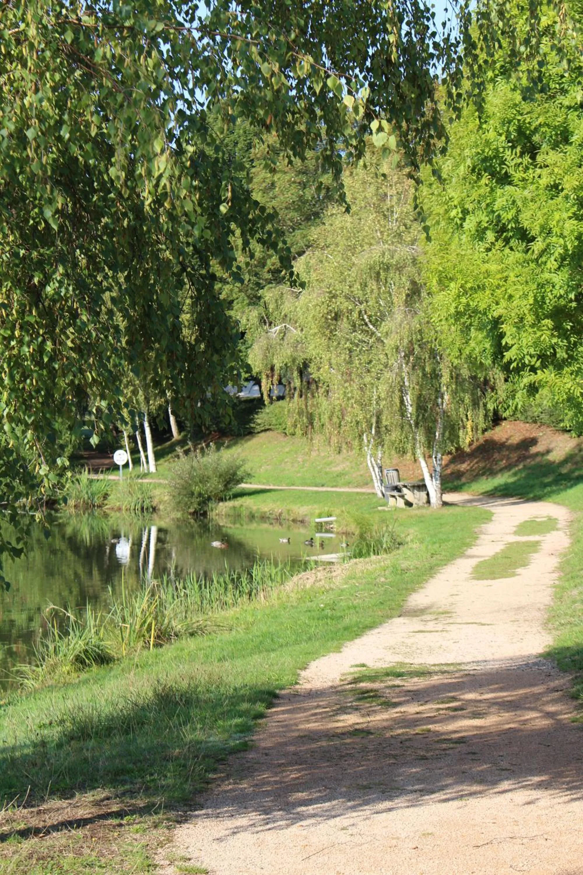 Natural landscape in Camping de Matour
