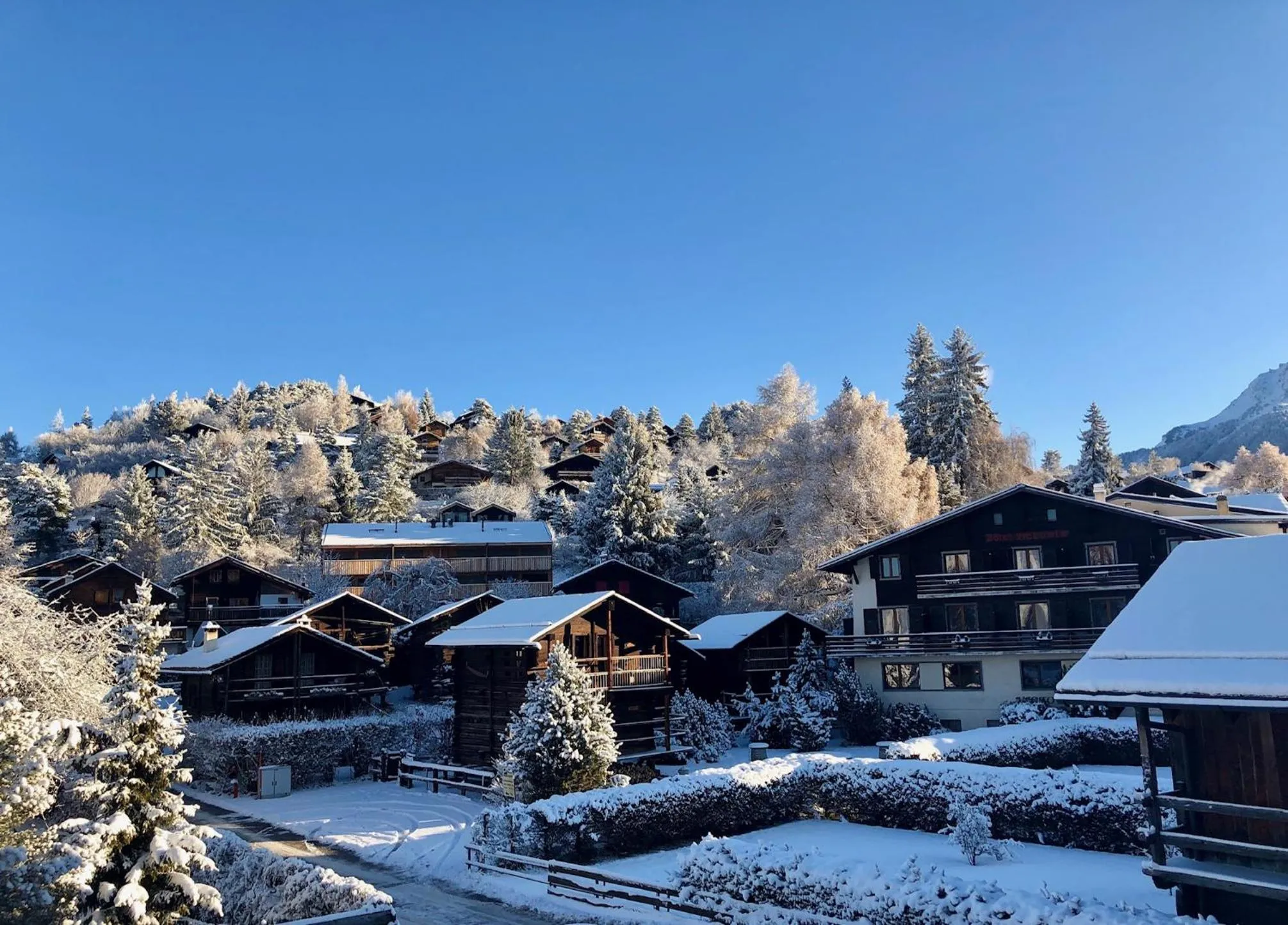 Property building in Victoria Retreat