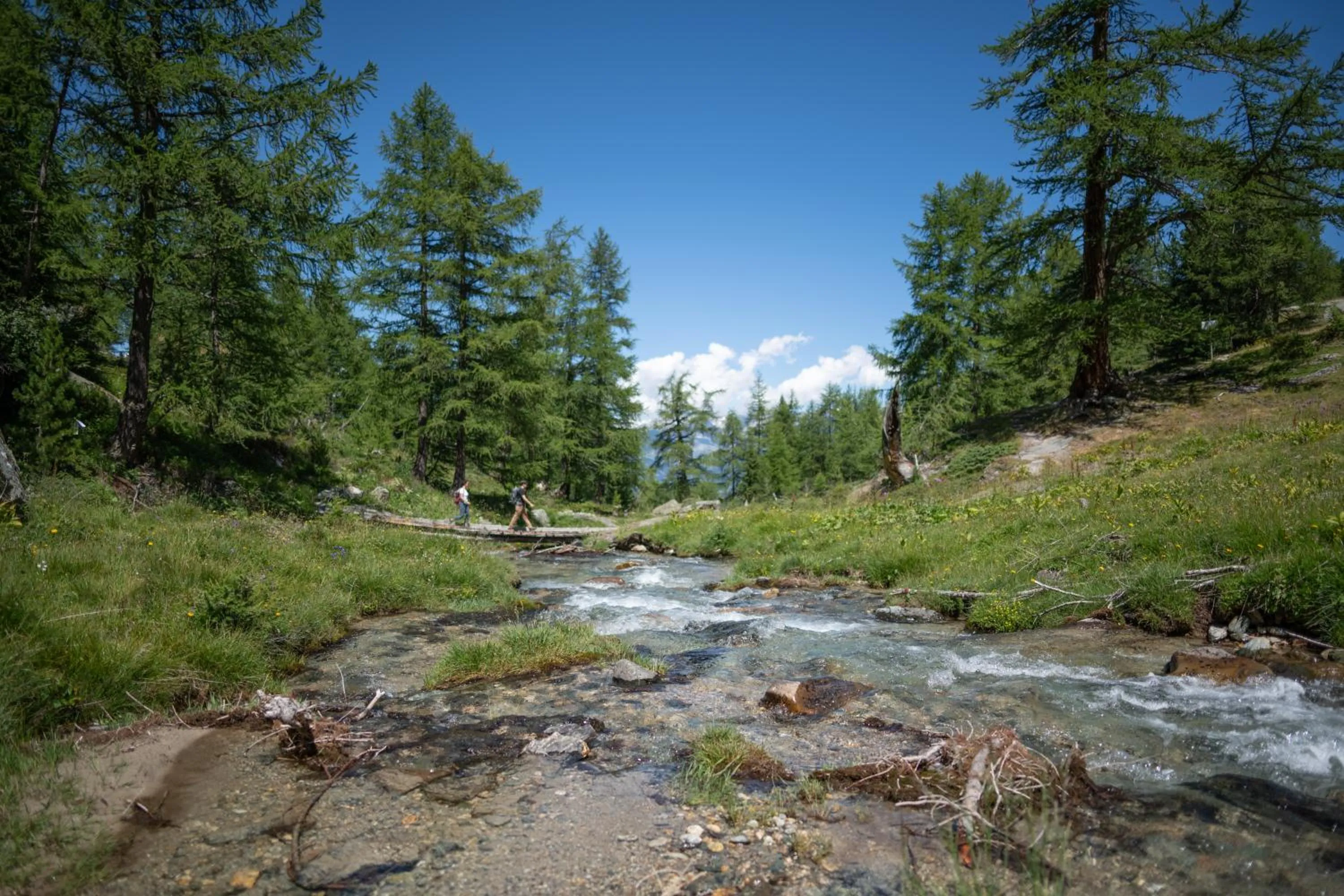 Natural landscape in Victoria Retreat