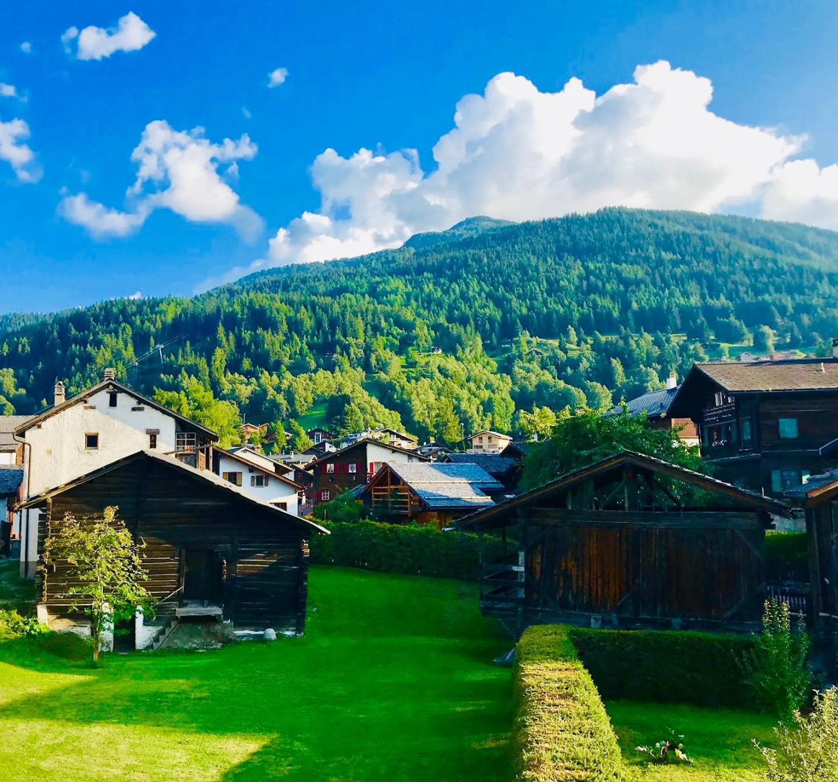 Garden in Victoria Retreat