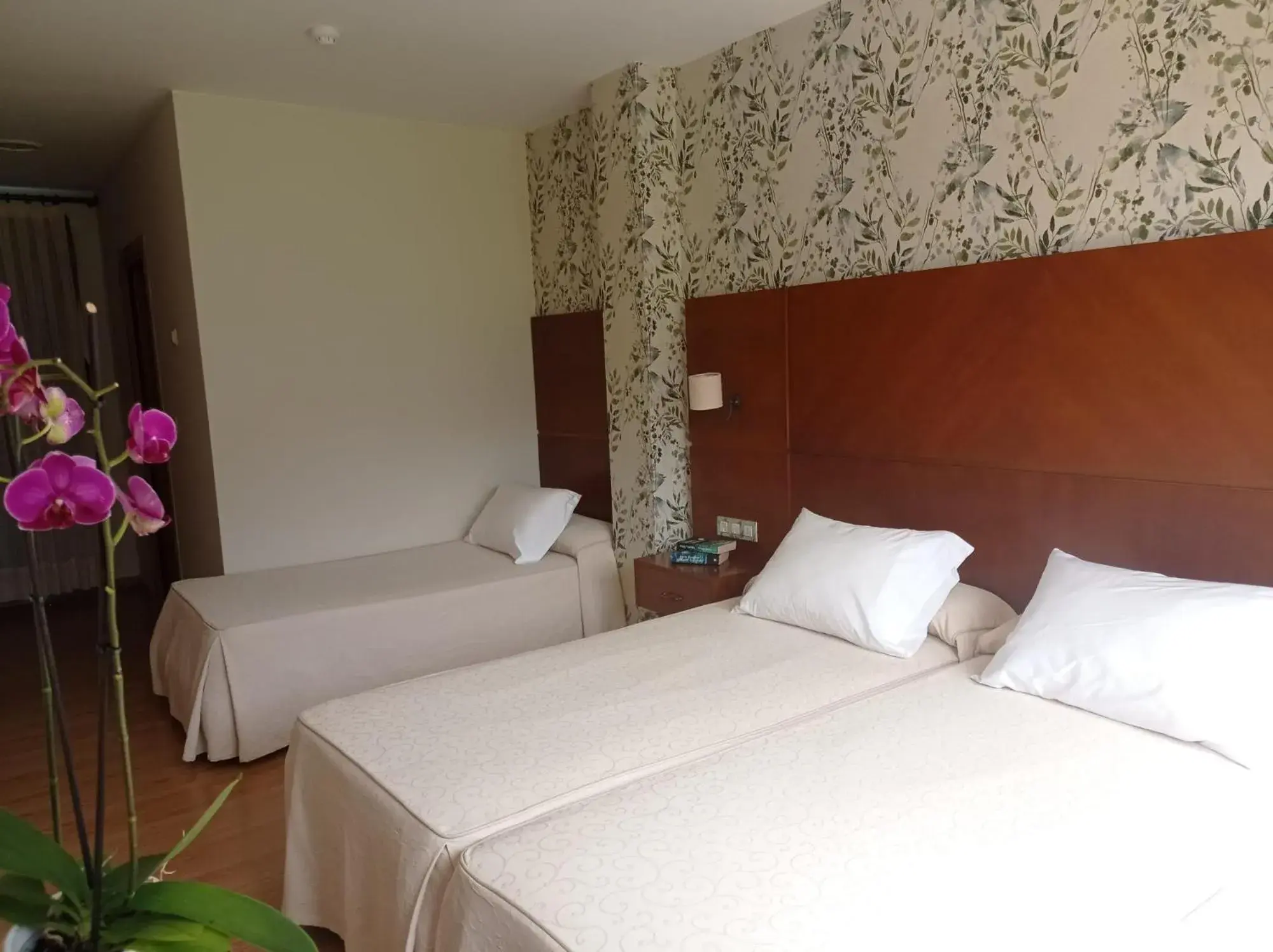 Triple Room with Private Bathroom in Hotel A Raiña Triple Room with Private Bathroom in Hotel A Raiña