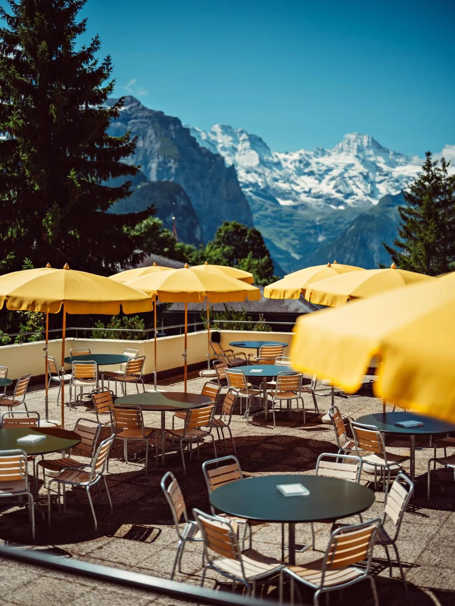 Balcony/Terrace in Grand Hotel Belvedere, a Beaumier Hotel
