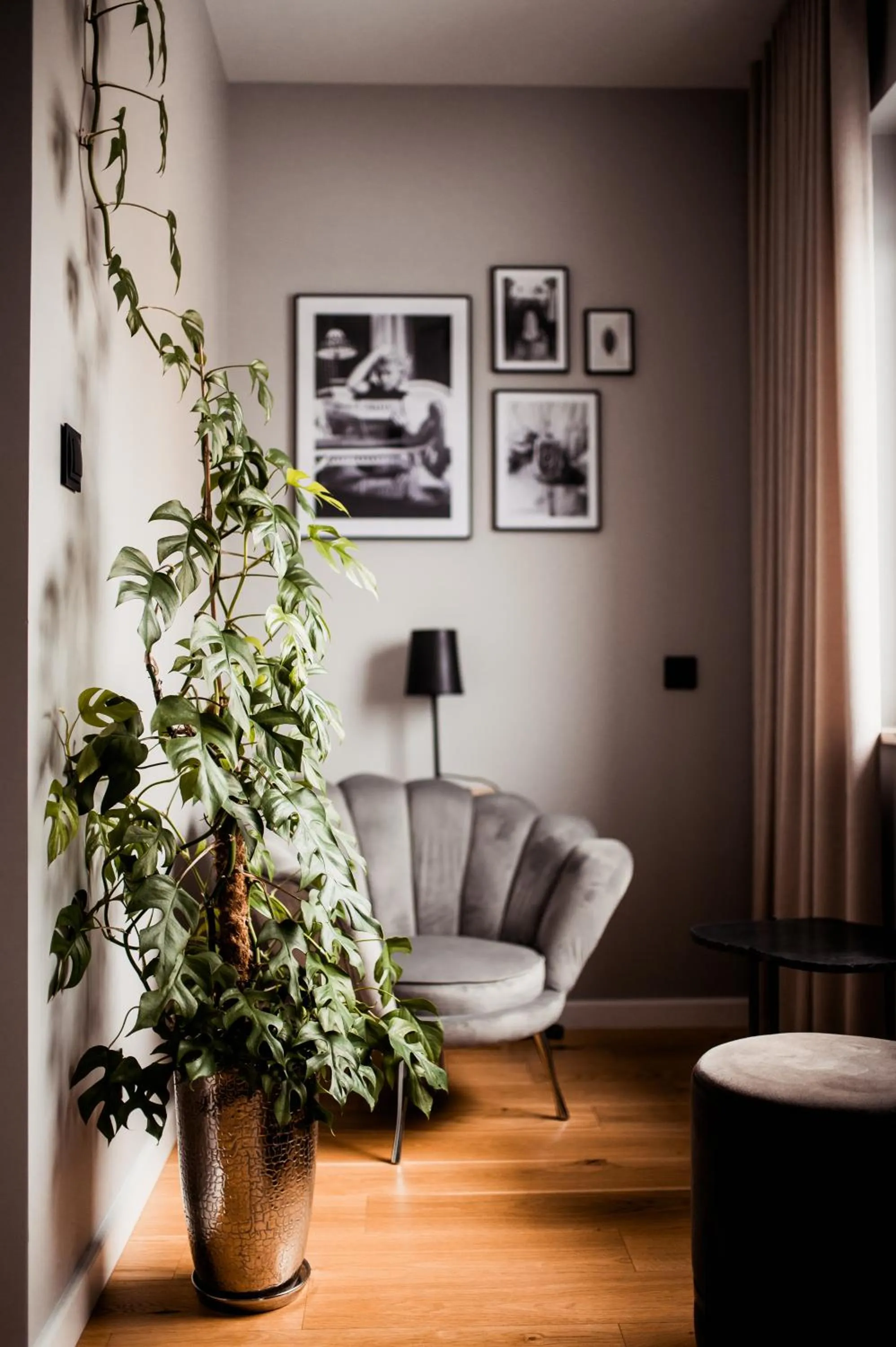 Patio in Boutique Hotel RABBIT HOLE