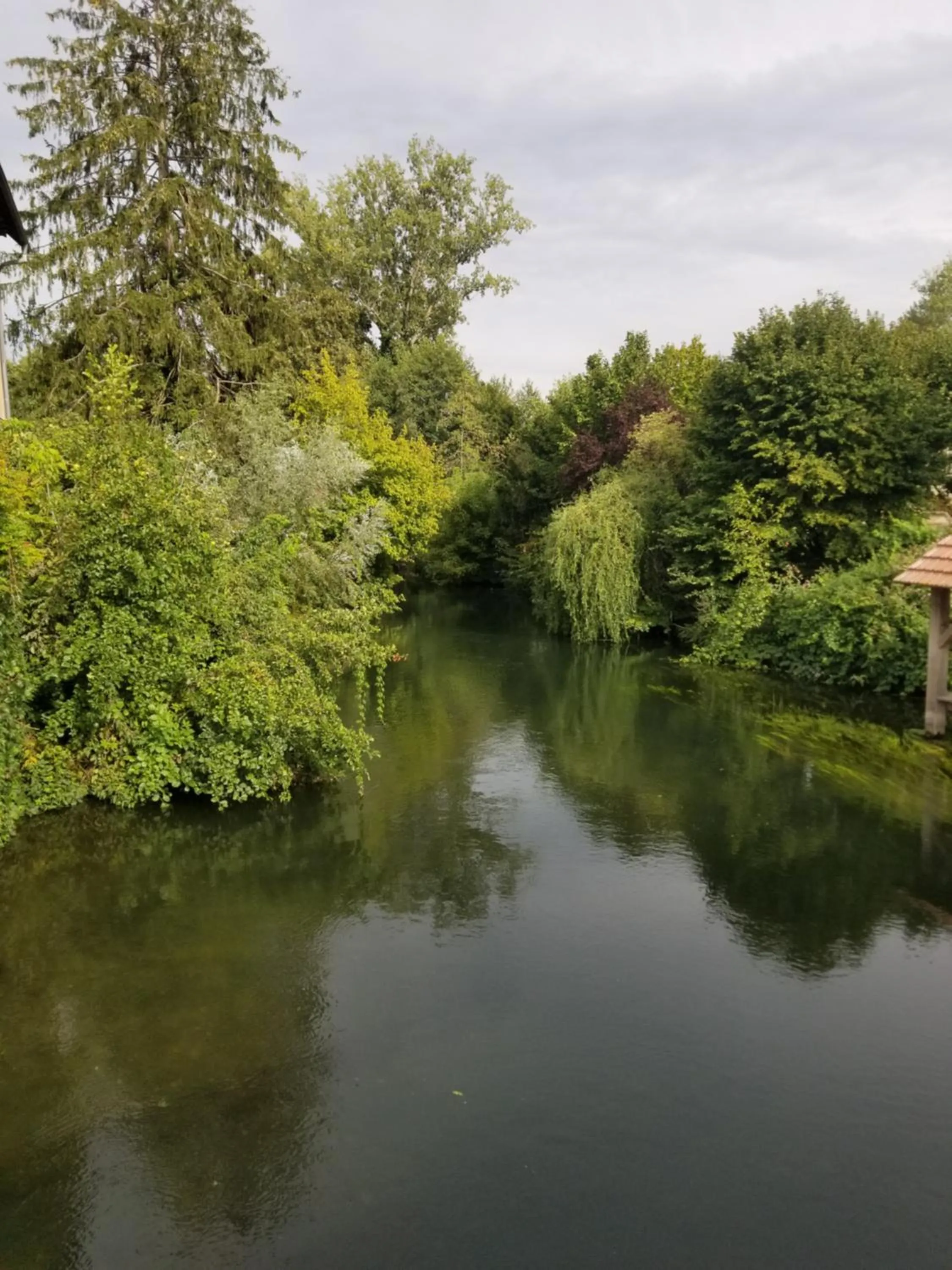 Natural landscape in chambre d'hôtes de charme, un temps en forêt