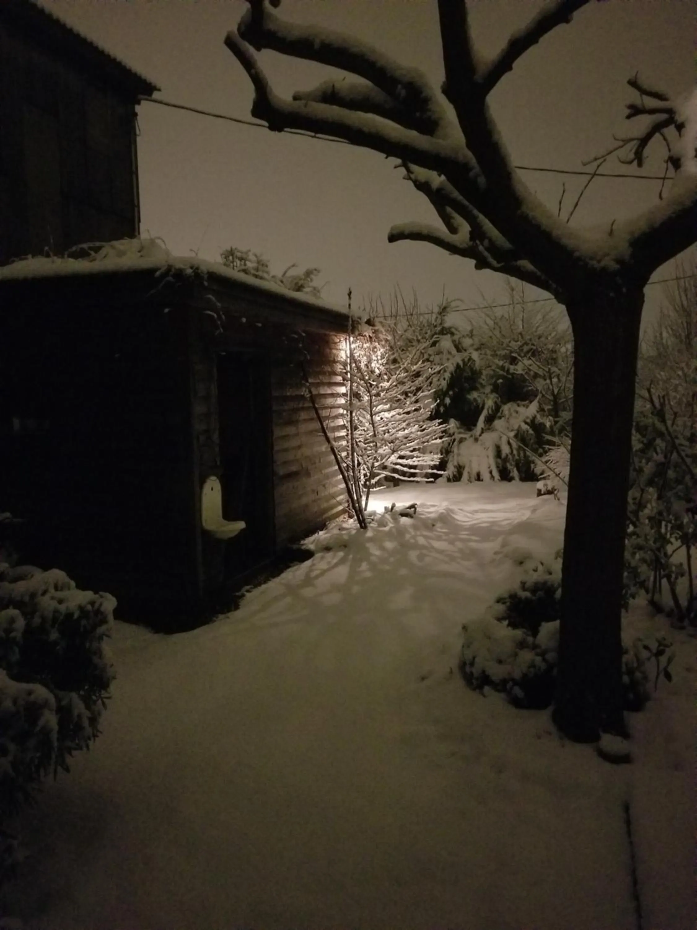 Winter in chambre d'hôtes de charme, un temps en forêt