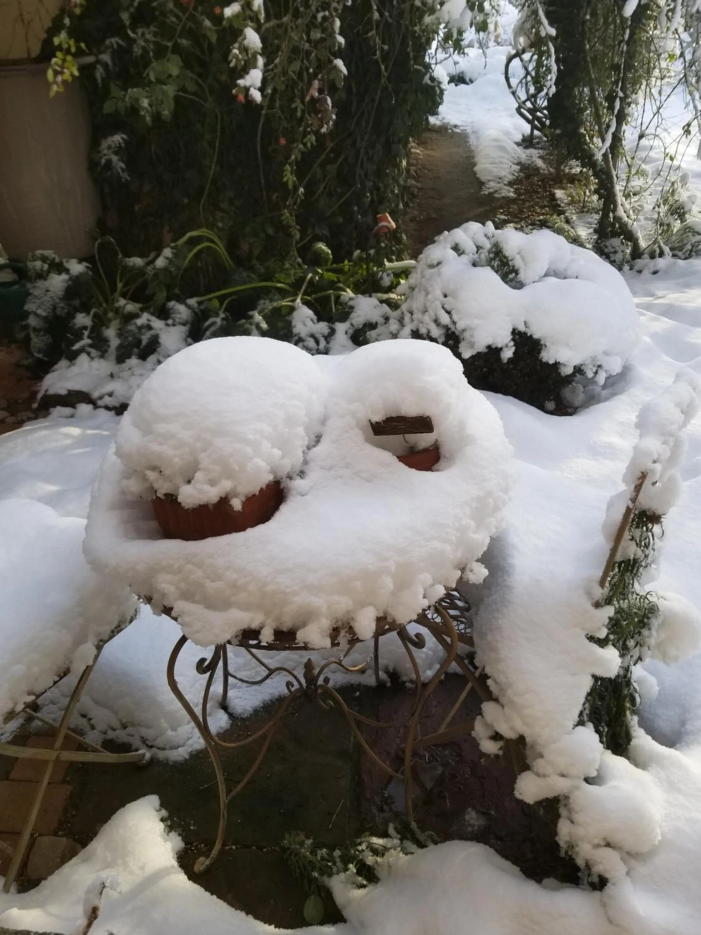 Winter in chambre d'hôtes de charme, un temps en forêt