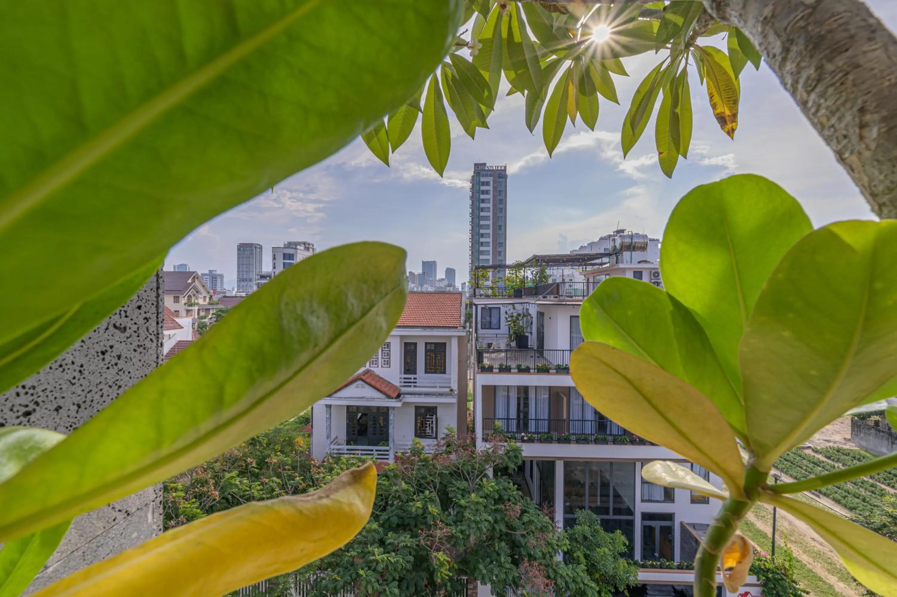 City view in Le Boutique Danang