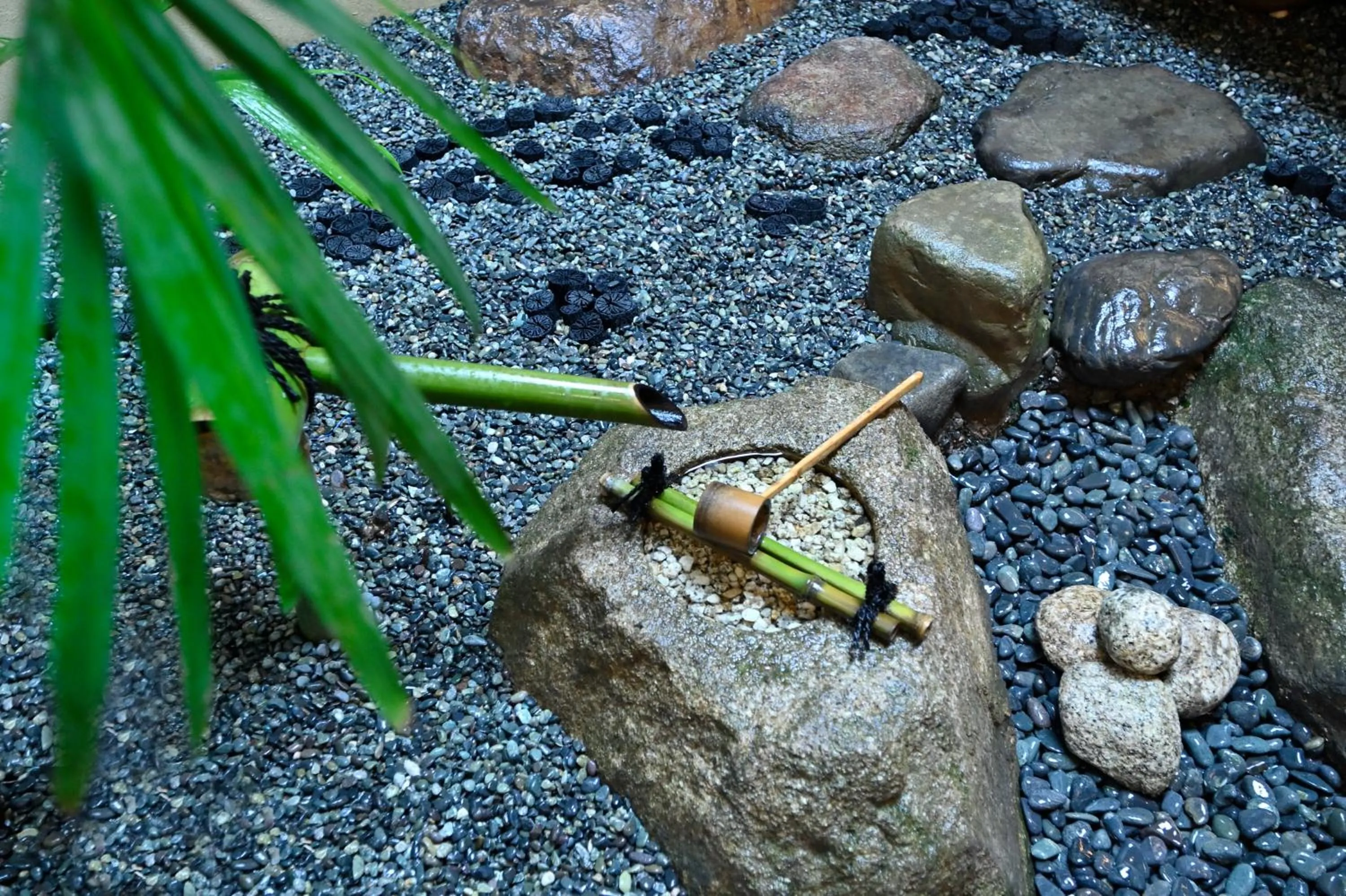 Garden view in Kyo no Ondokoro TAKEYAMACHI #8