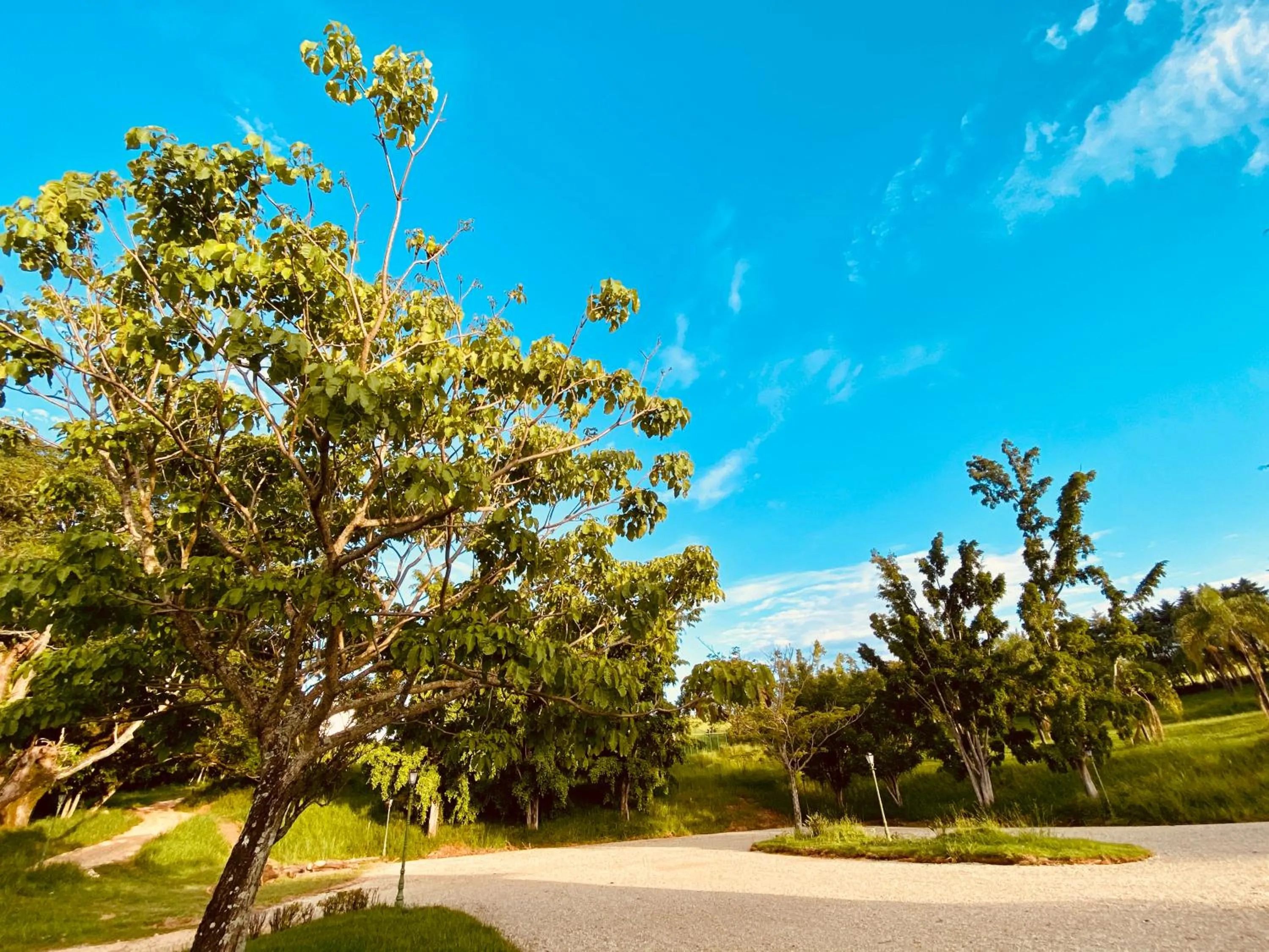 Garden in Hotel Fazenda Juca Mulato