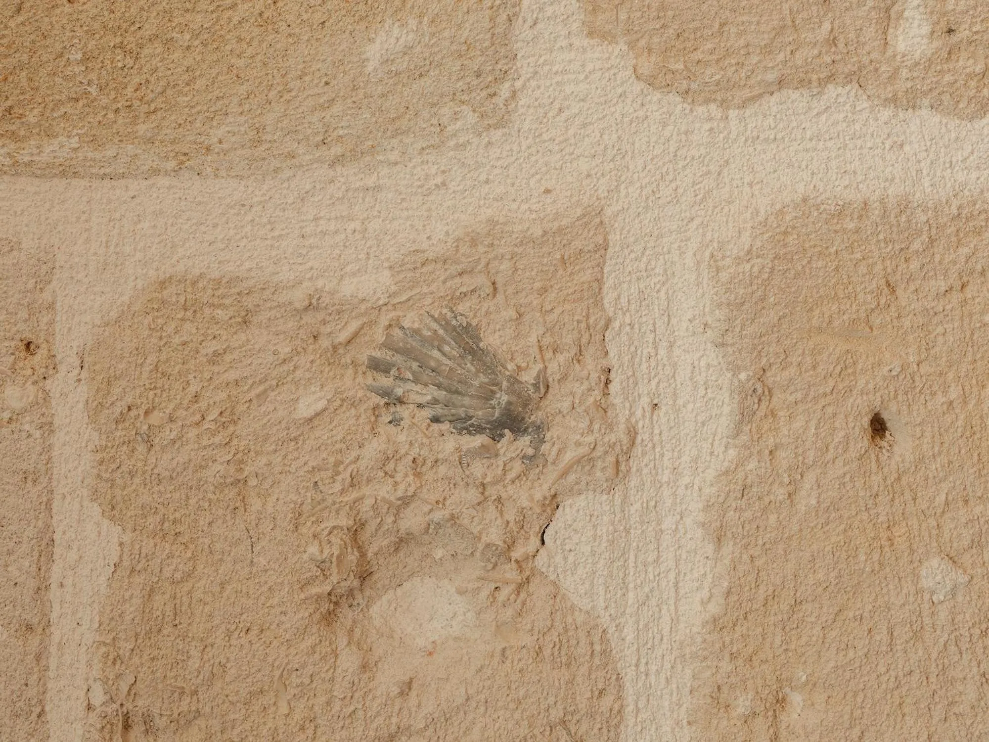 Decorative detail in Palazzo Degli Abati