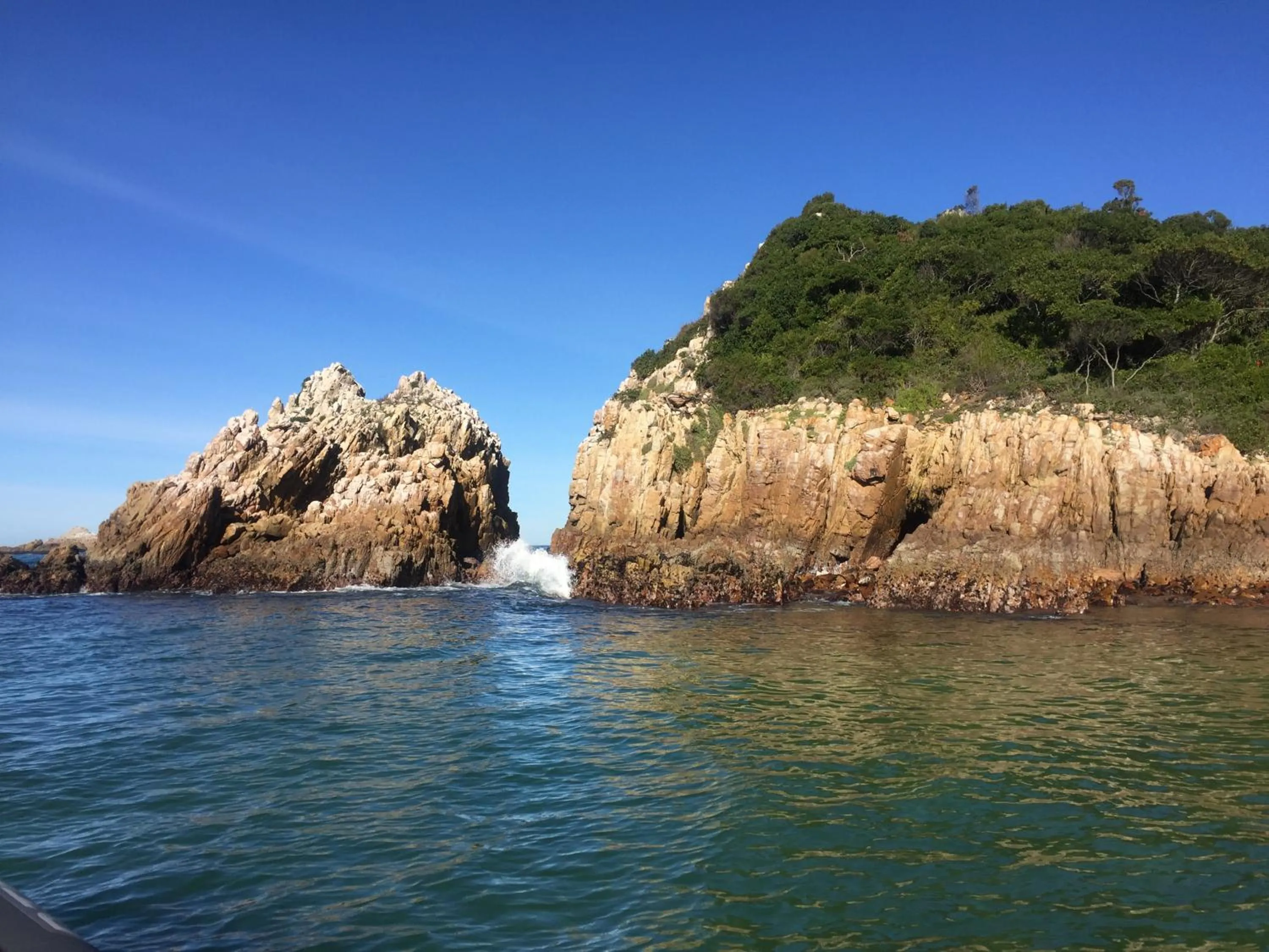 Natural landscape in Leisure Isle Lodge