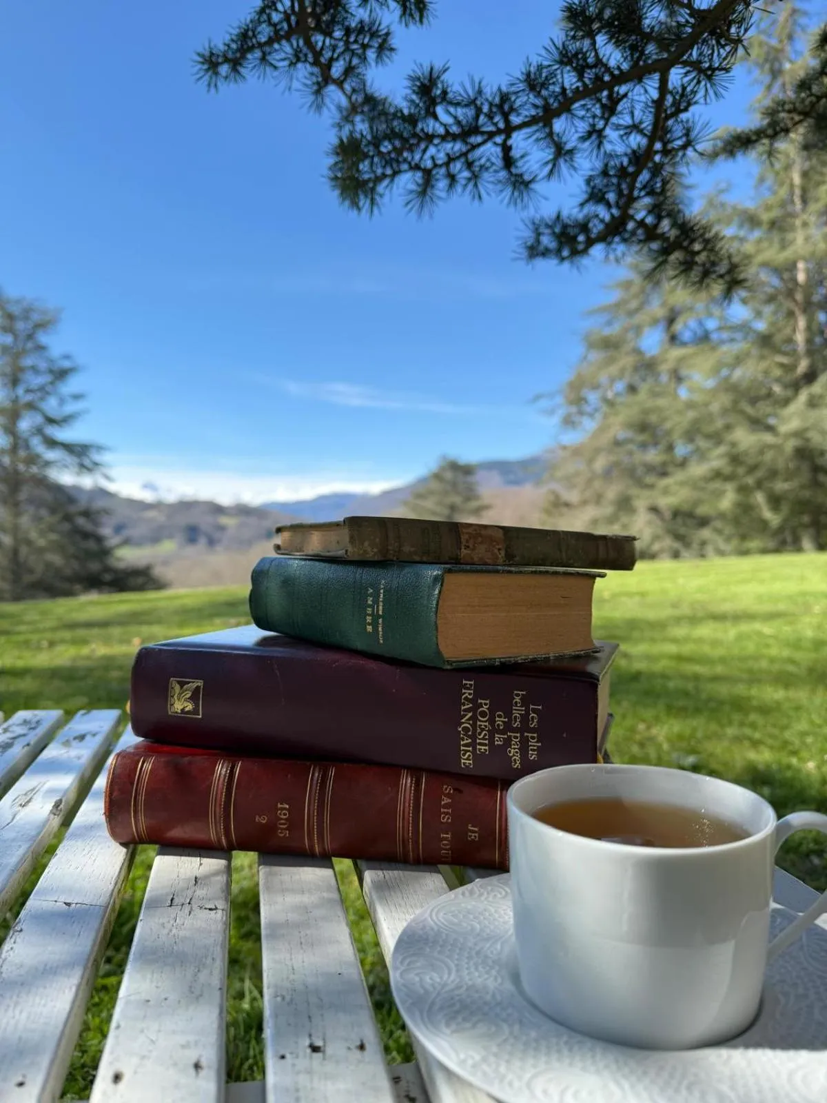 Balcony/Terrace in Le Clos Cathala Chambres d'Hôtes