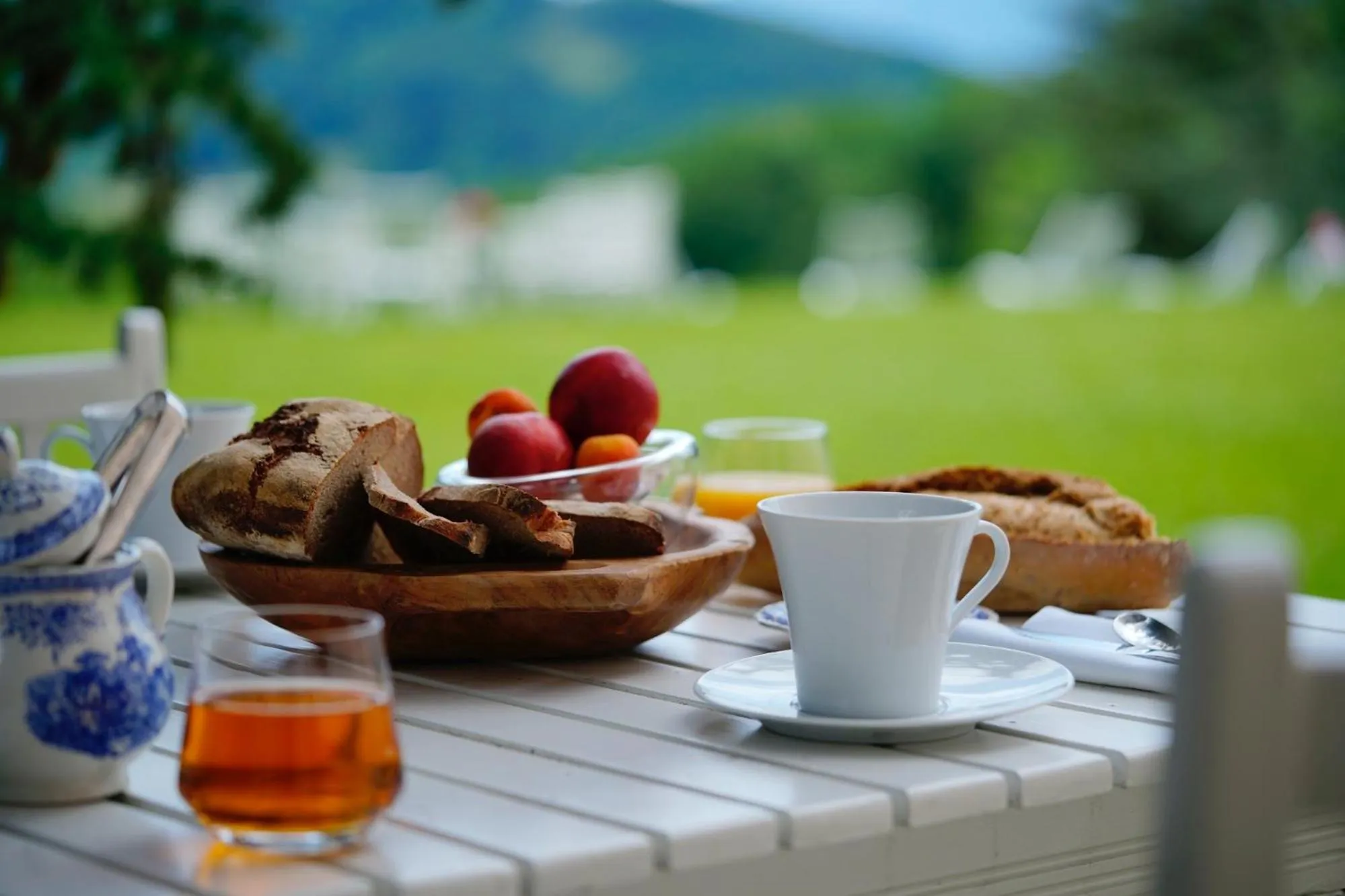 Garden in Le Clos Cathala Chambres d'Hôtes