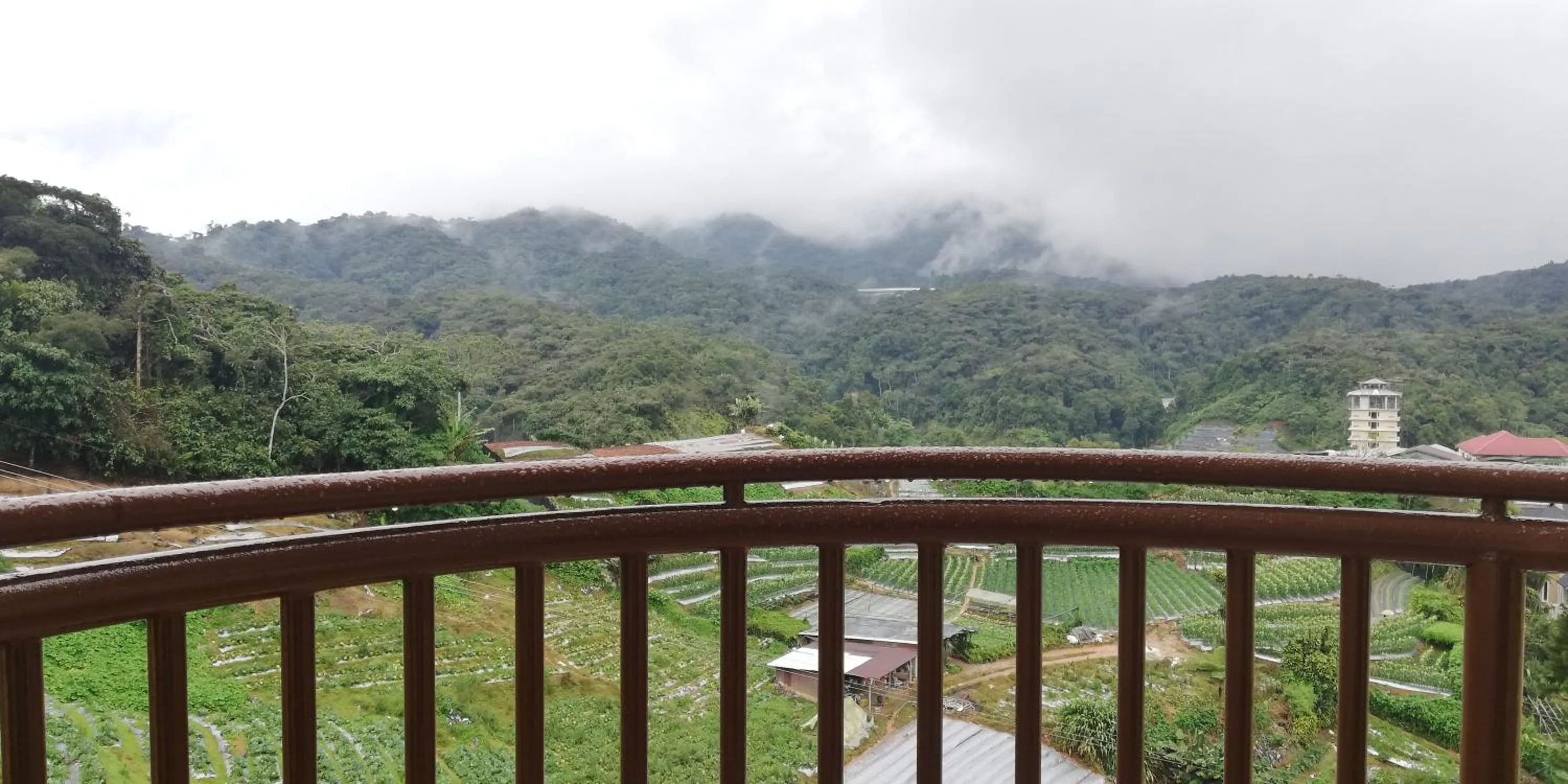 View (from property/room) in Green View Home Cameron Highlands