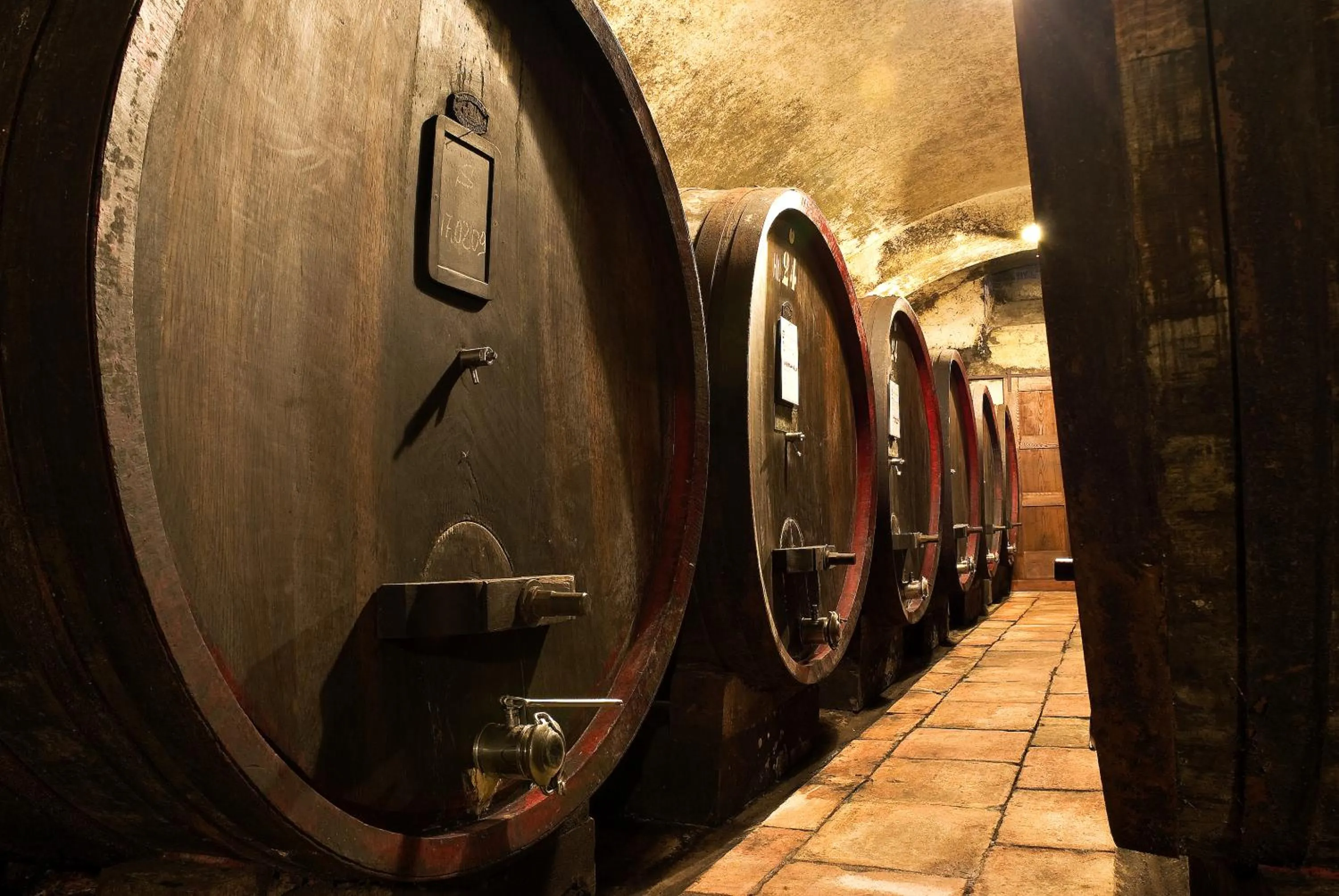 Entertainment in Agriturismo La Fattoria di Capezzana