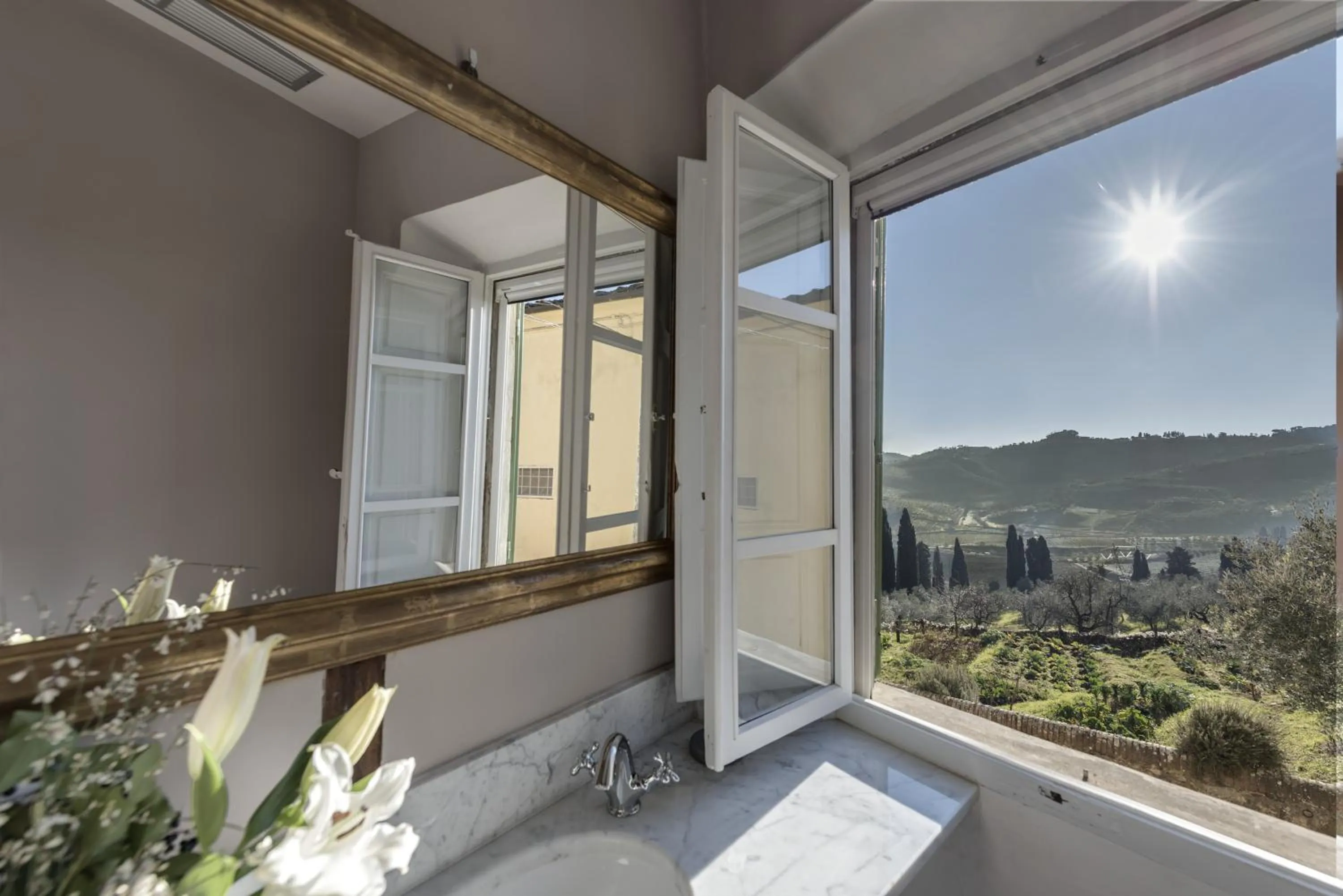 View (from property/room) in Agriturismo La Fattoria di Capezzana