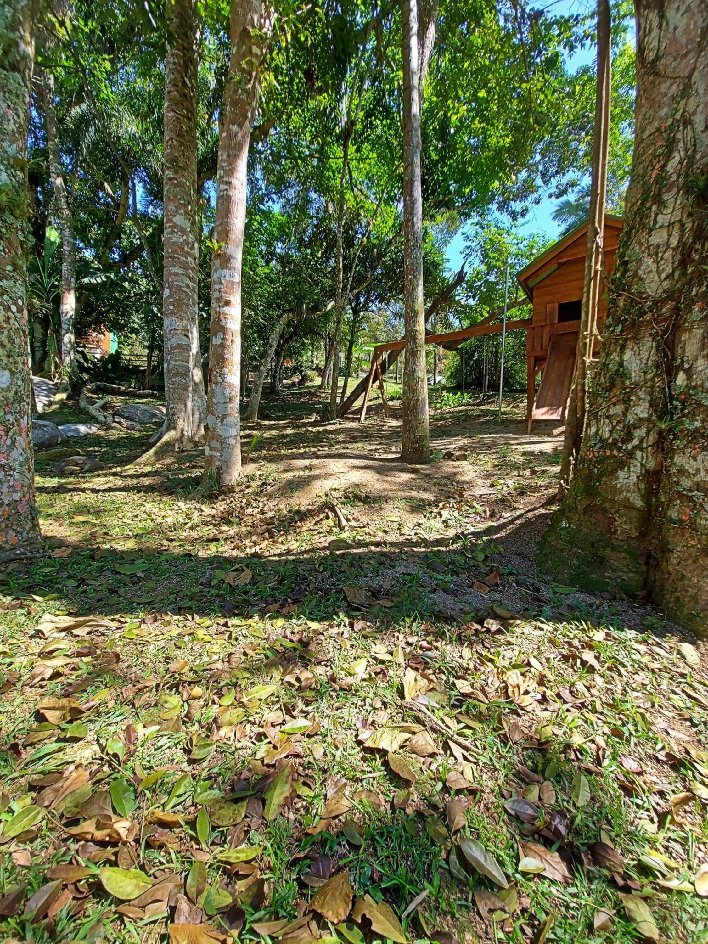 Spring in Pousada Sítio Olho D'Água