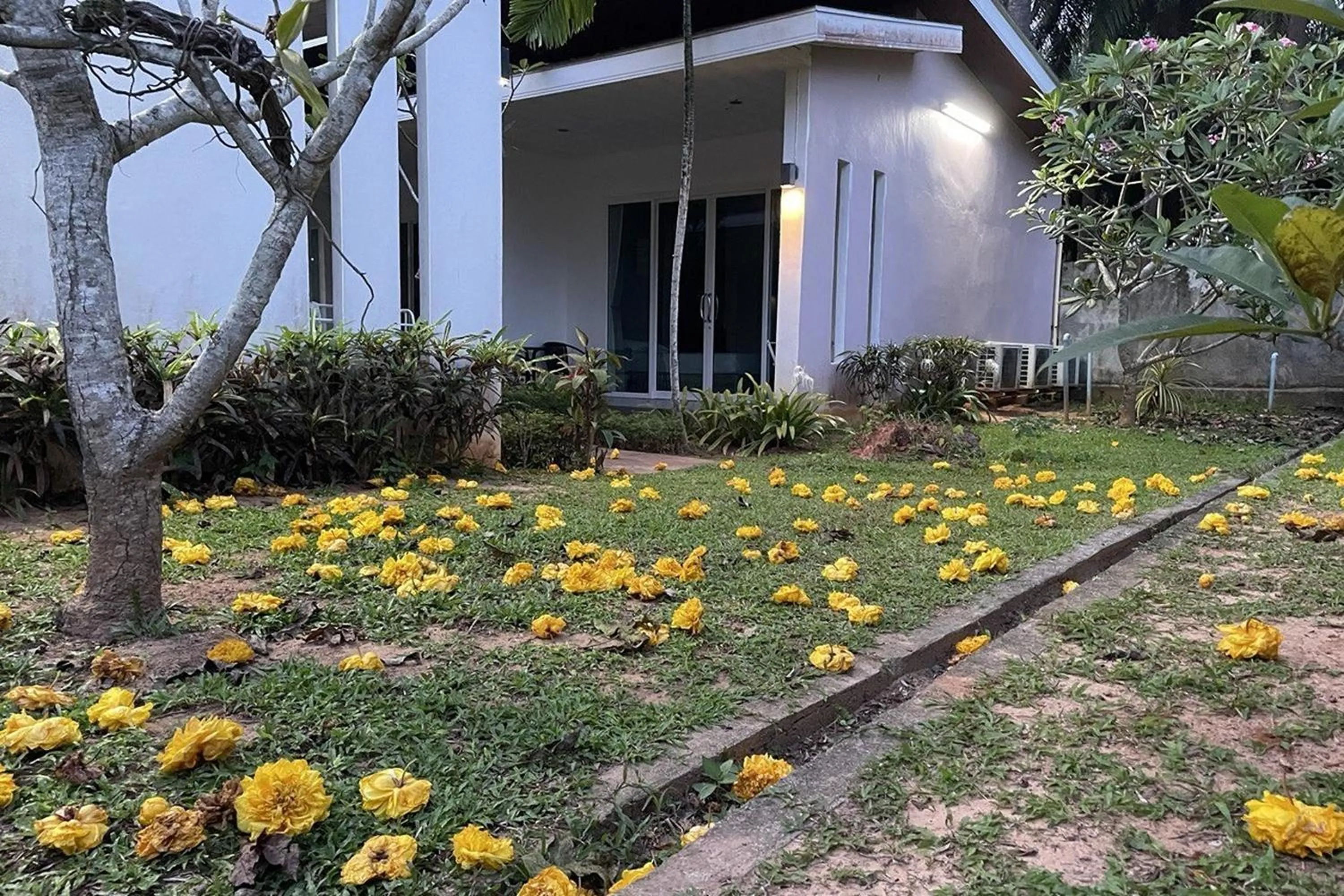 View (from property/room) in The Fong Krabi resort