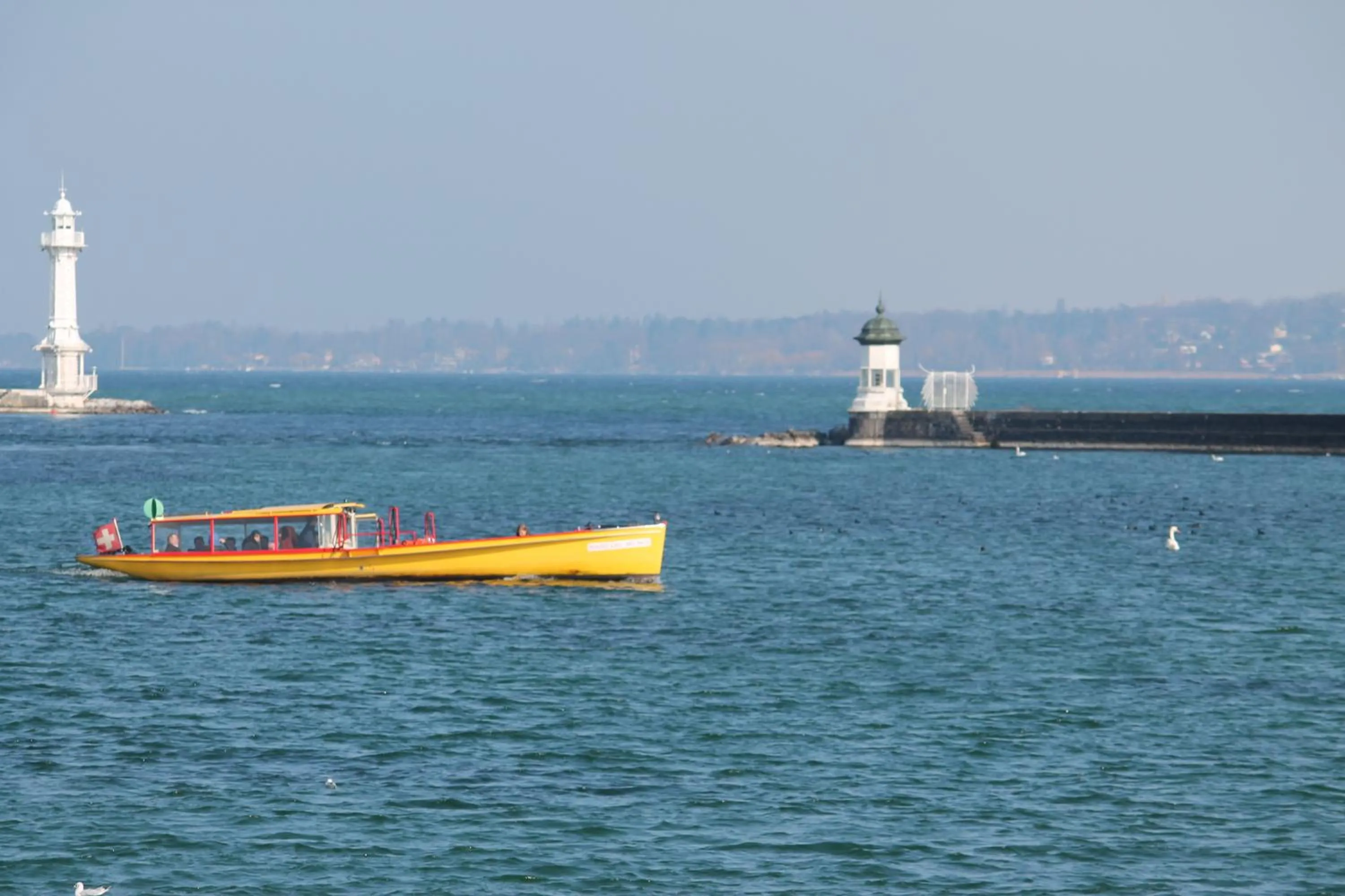 Area and facilities in The New Midi