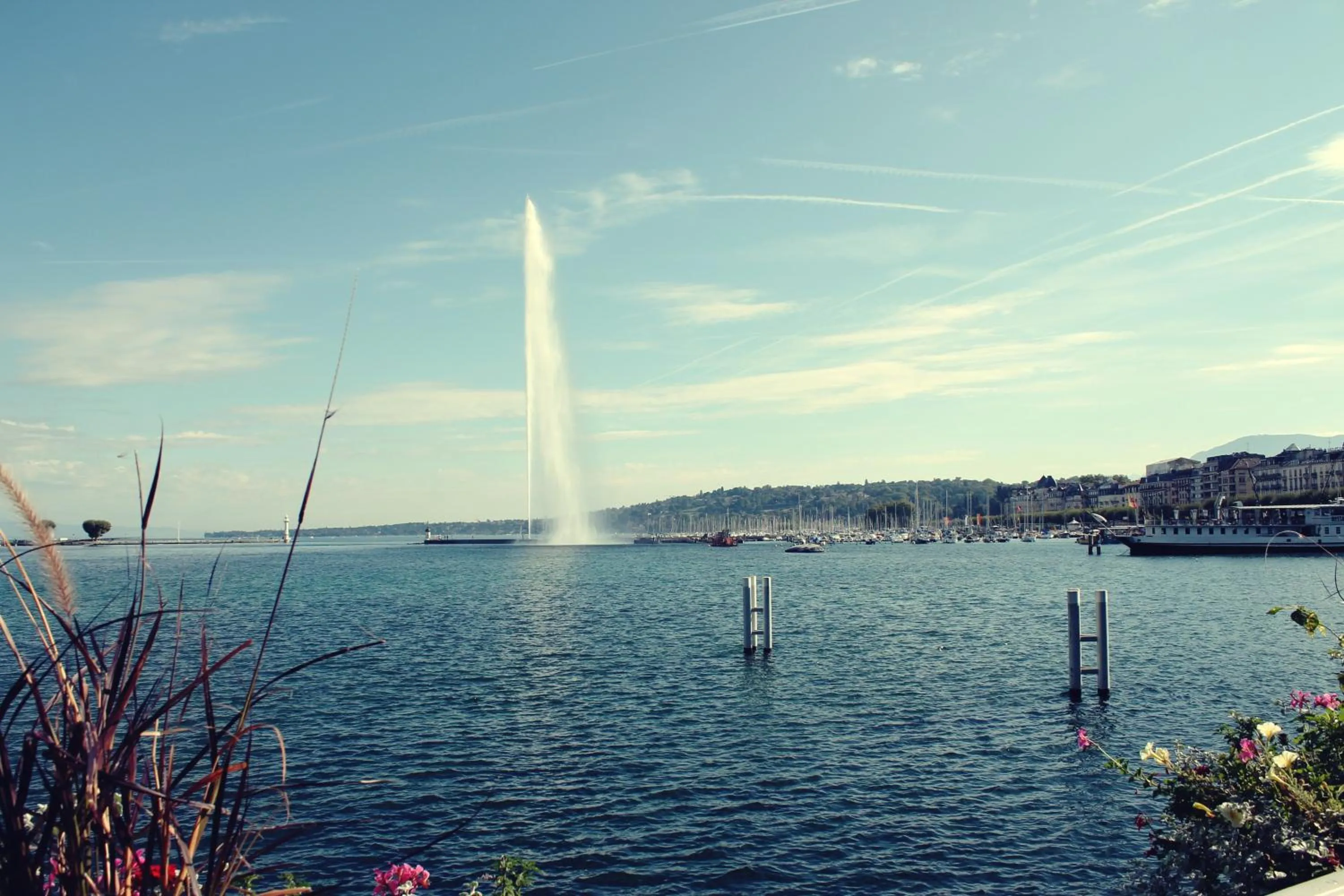 Activities in The New Midi