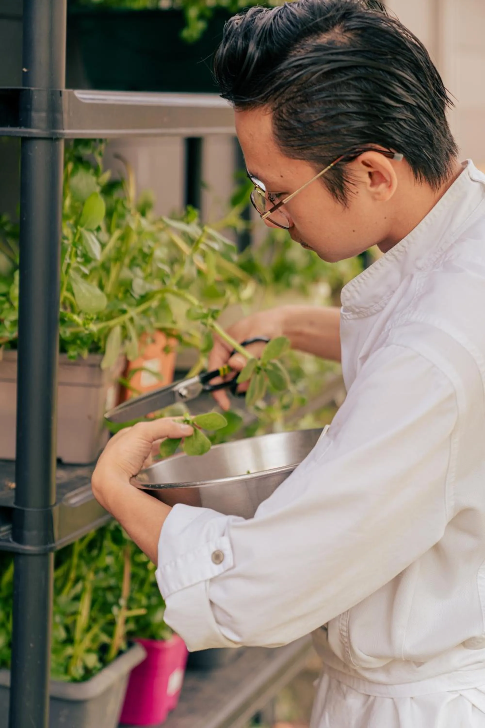 kitchen in Demeures & Châteaux Auberge de la Tour - Hôtel & Restaurants - Marcolès Auvergne