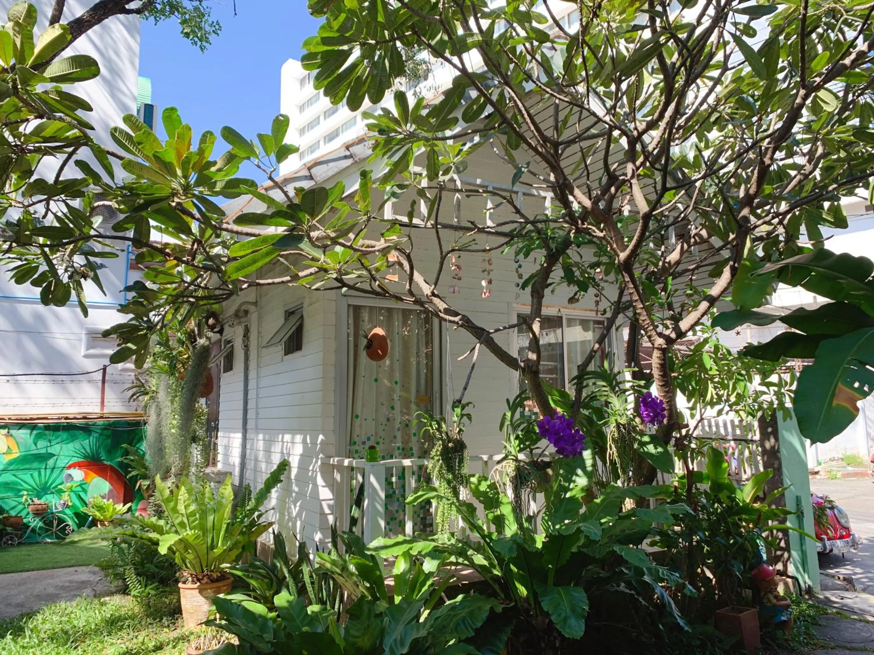 Garden in Dream Garden Villa Hotel Night Bazaar ChiangMai