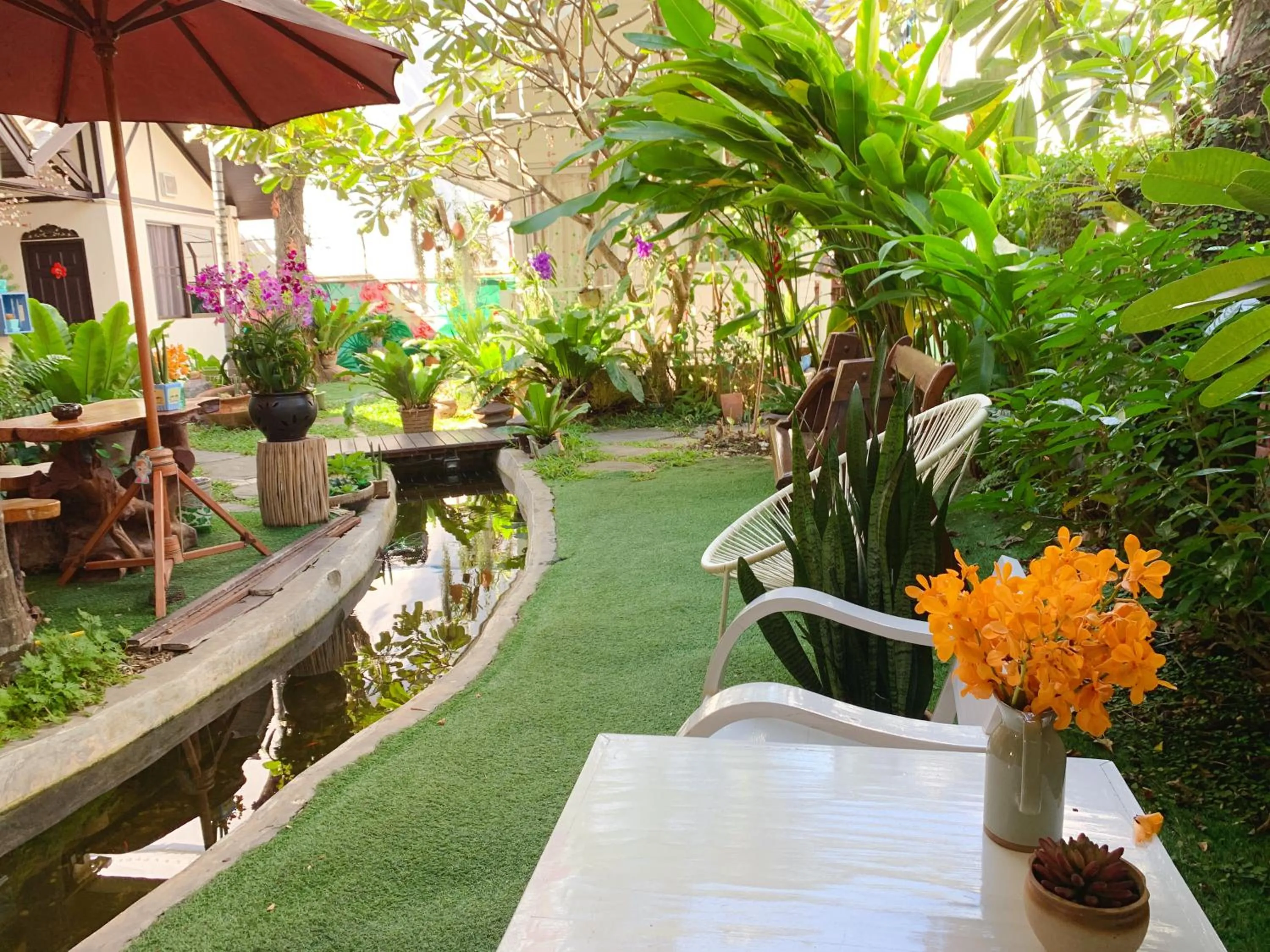 Garden in Dream Garden Villa Hotel Night Bazaar ChiangMai