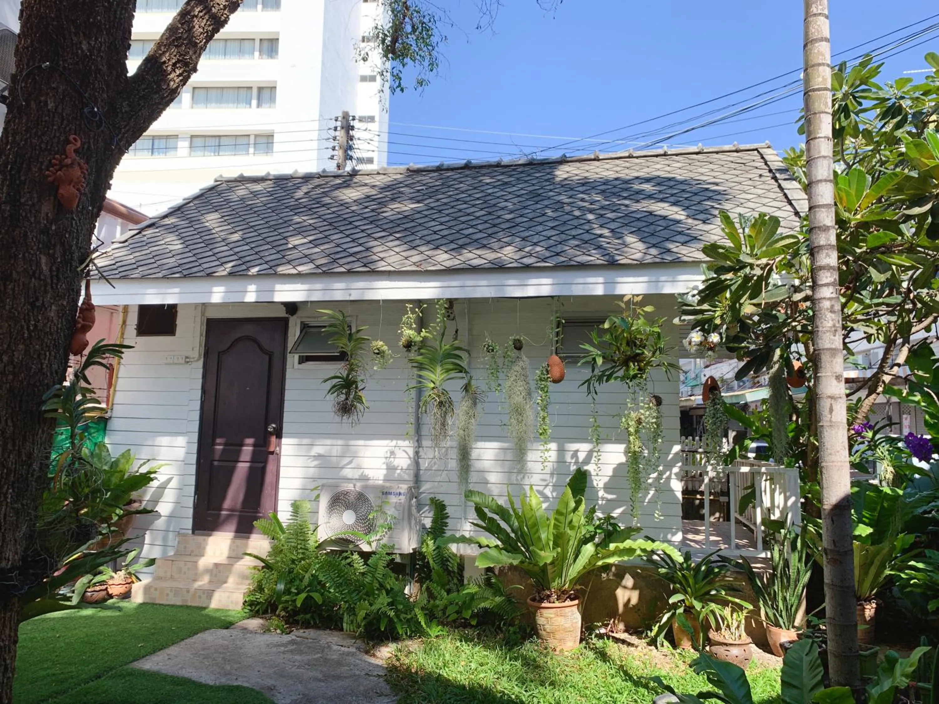 Garden view in Dream Garden Villa Hotel Night Bazaar ChiangMai