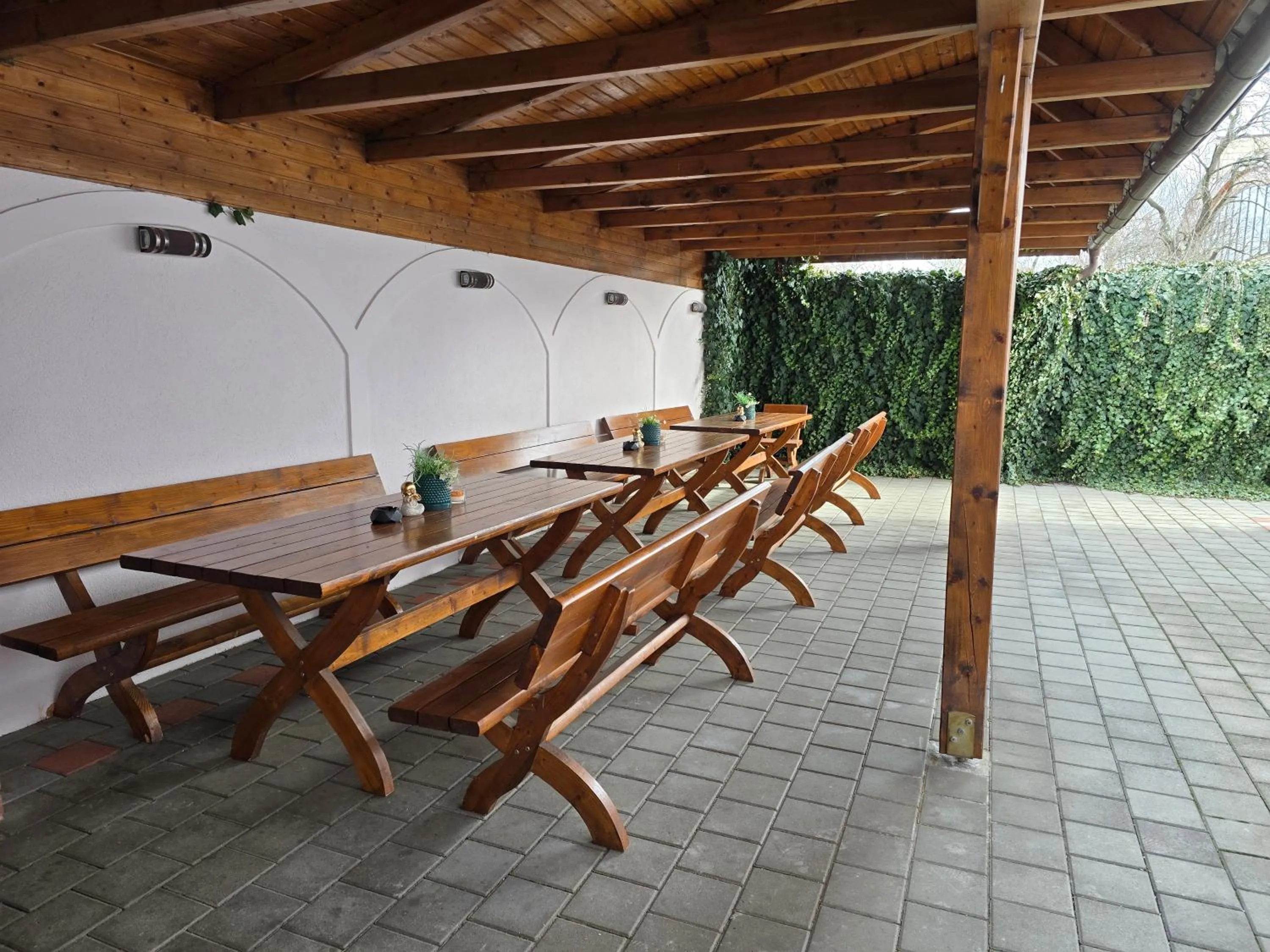 Patio in Pensiunea Transilvania