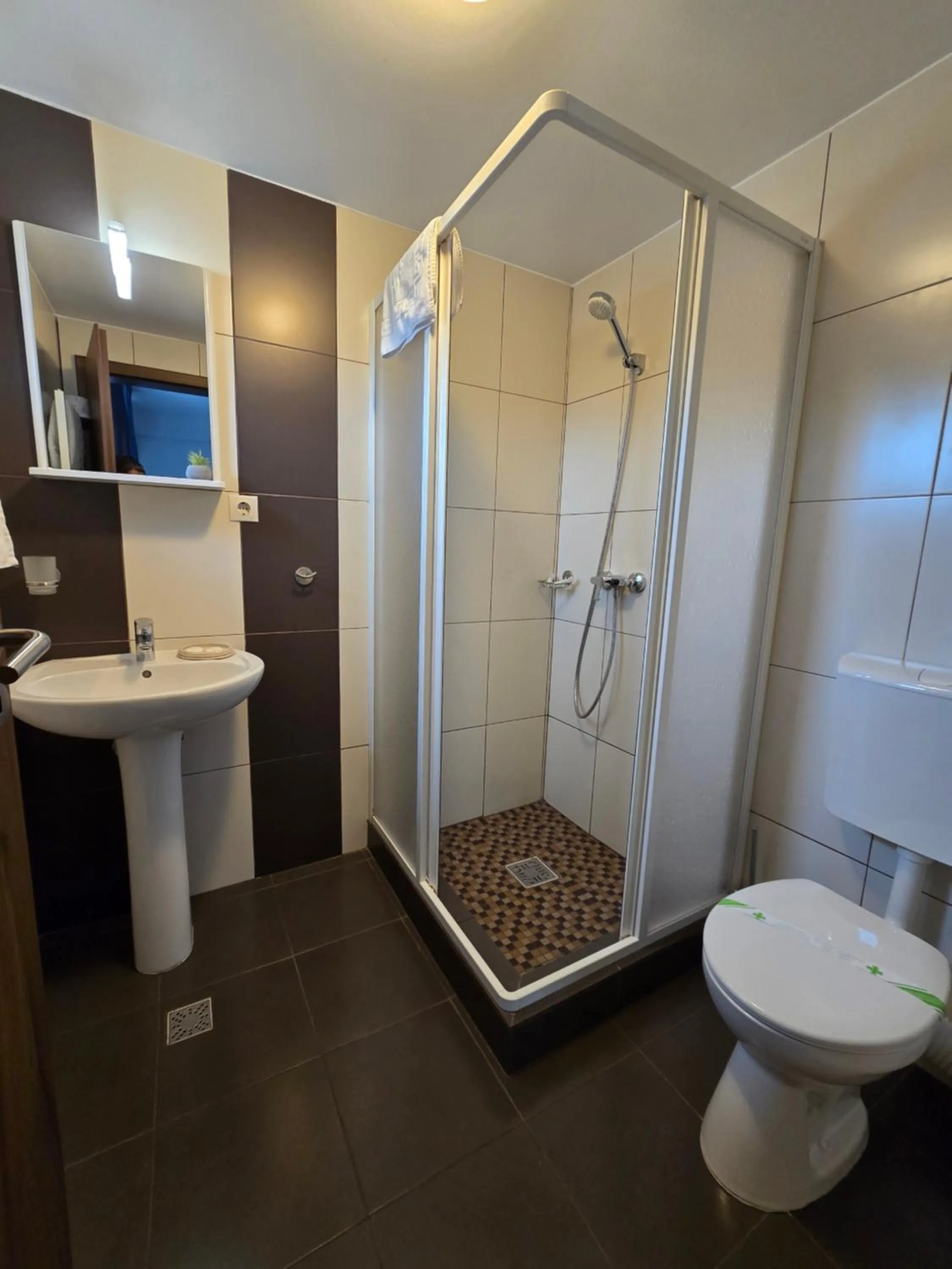 Bathroom in Pensiunea Transilvania