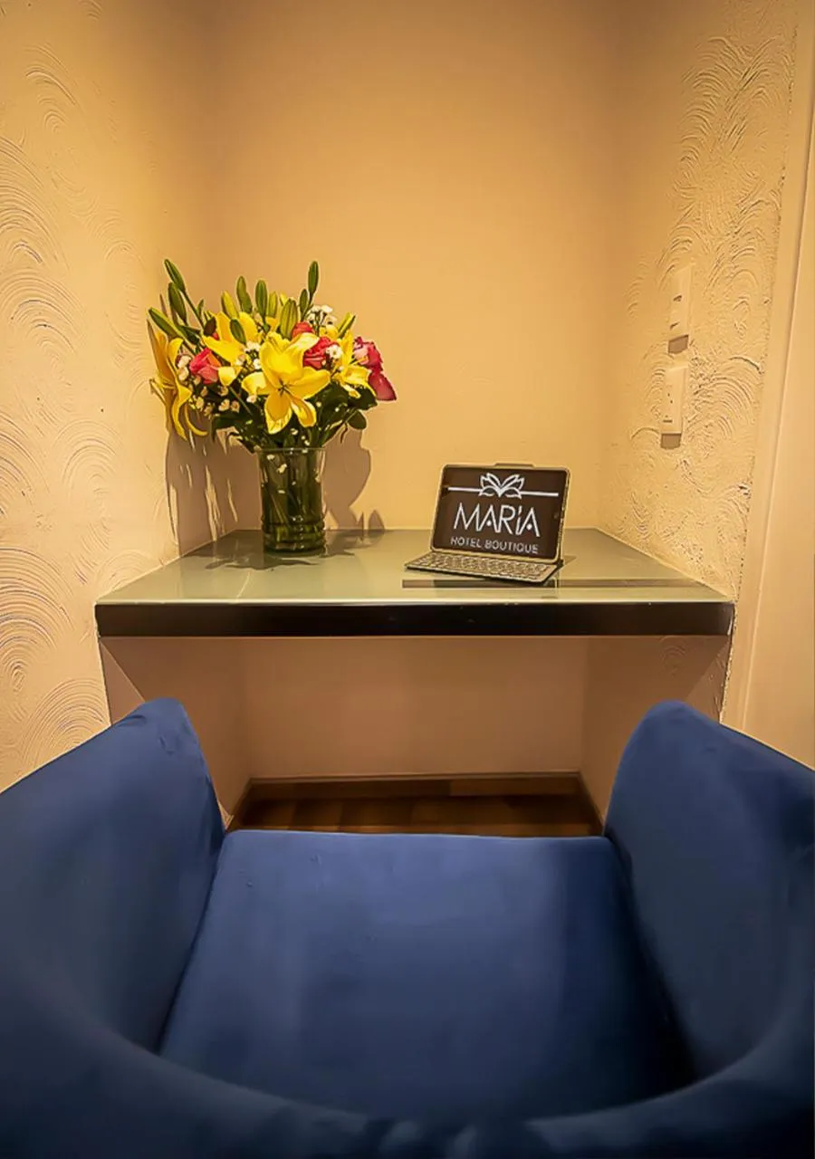 Living room in Hotel Boutique Maria