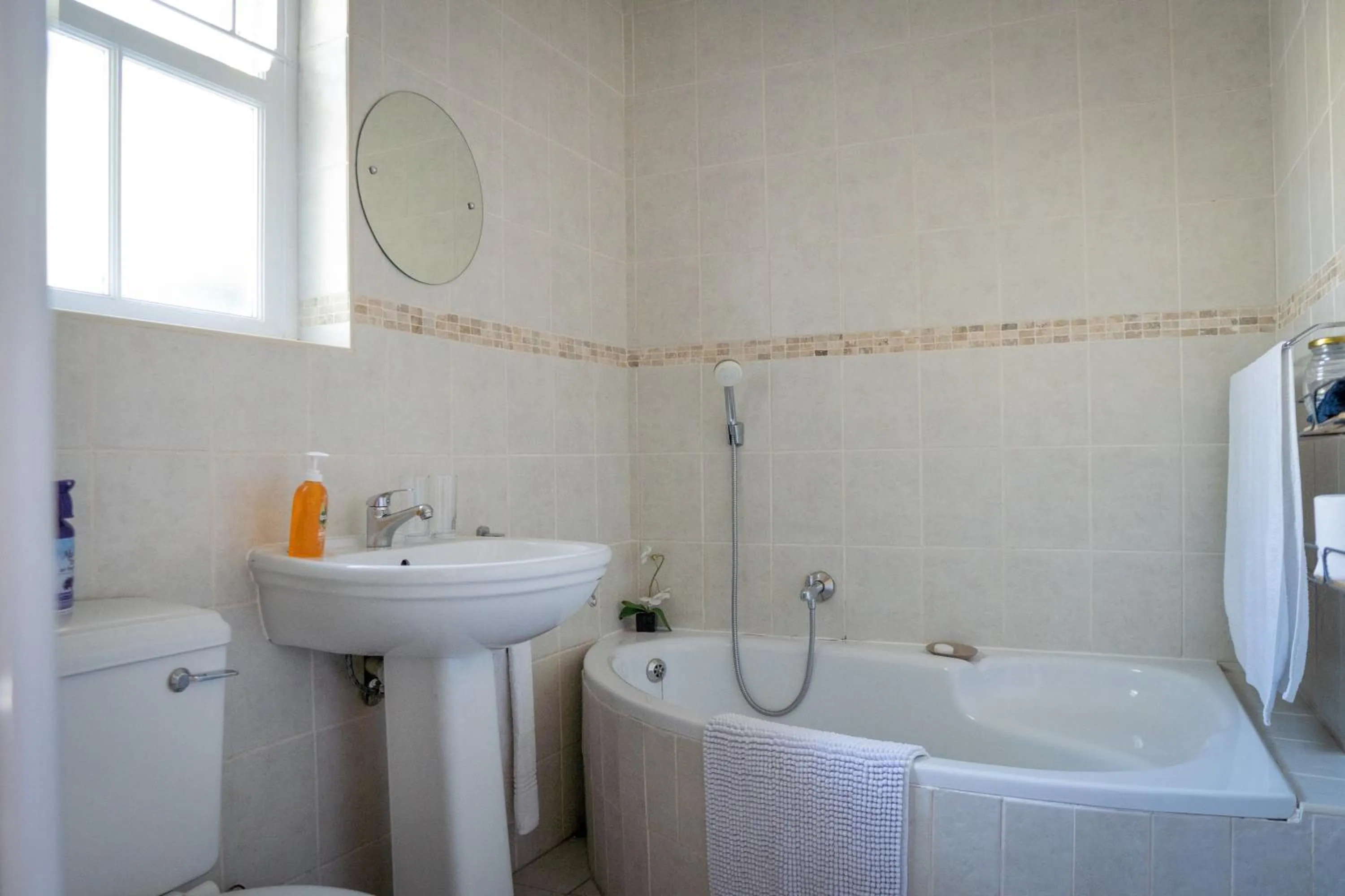 Bathroom in Rustic Manor Guest House