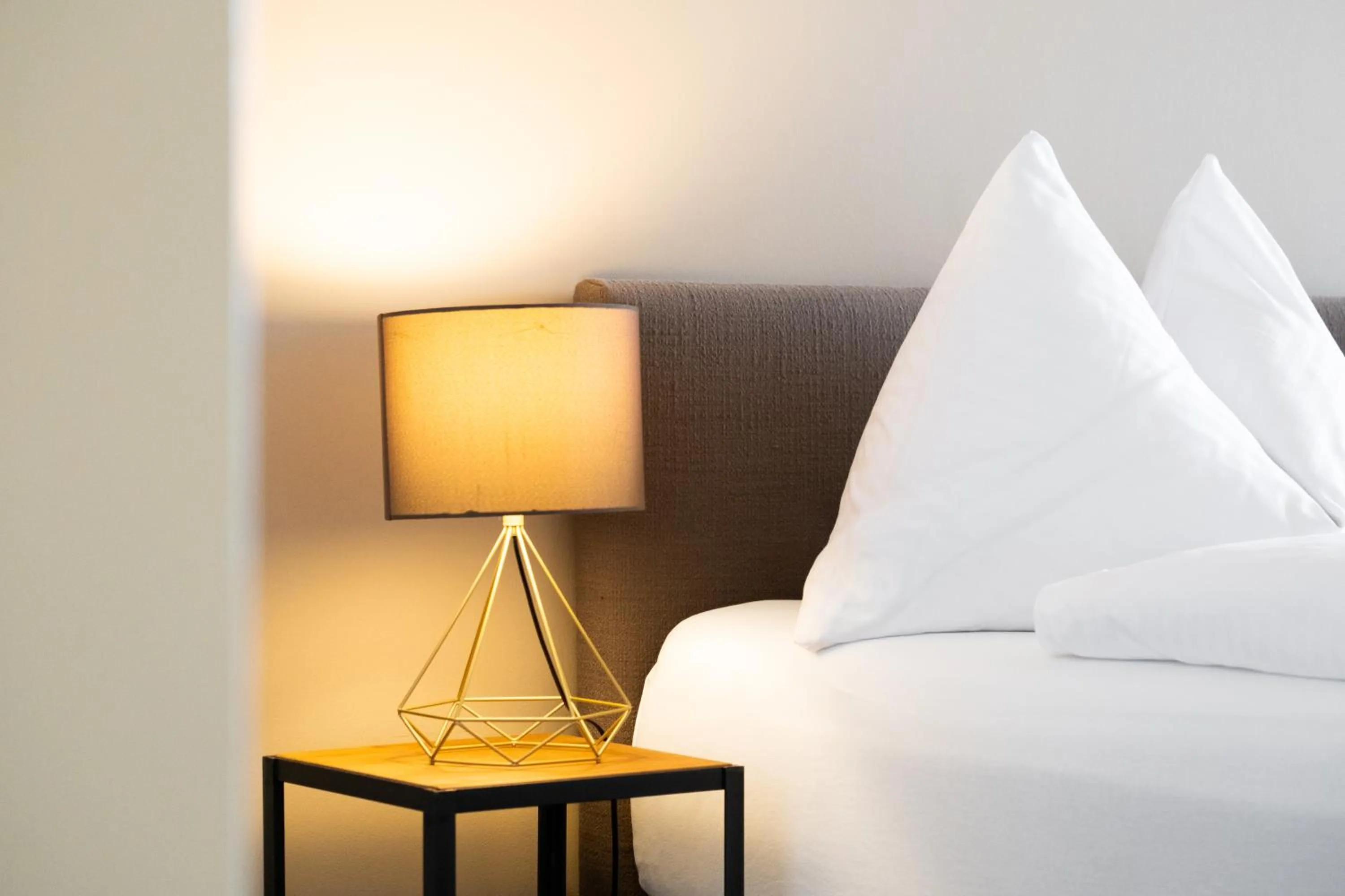 Single Room with Balcony and Lake View in Alpenblick Weggis - Panorama & Alpen Chic Hotel