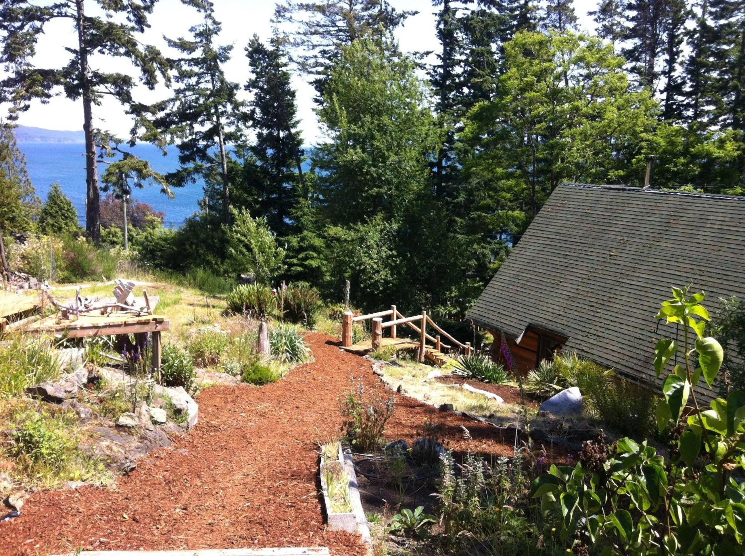Bird's eye view in Handsome Dan's at Otter Point