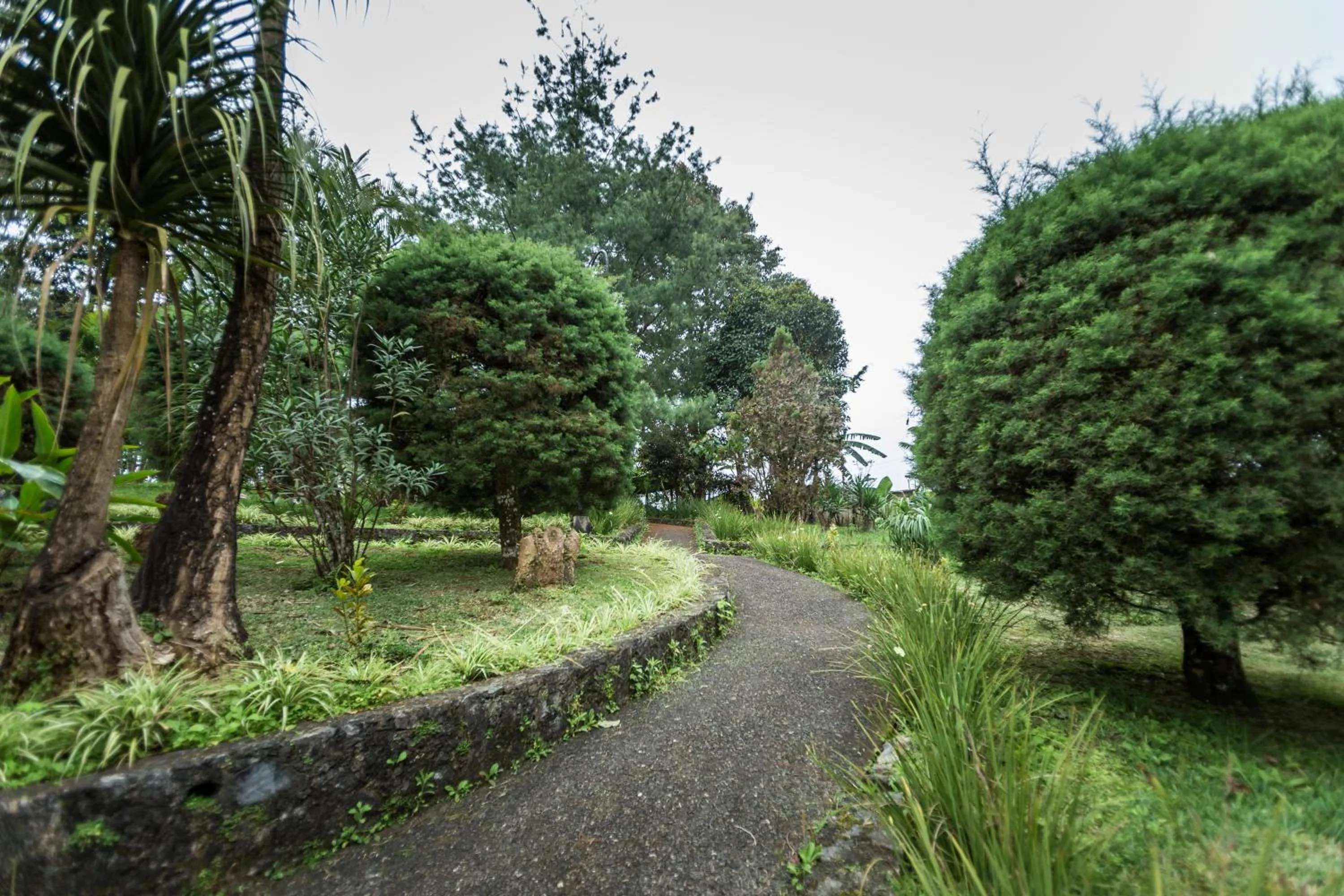 Natural landscape in Park Hotel