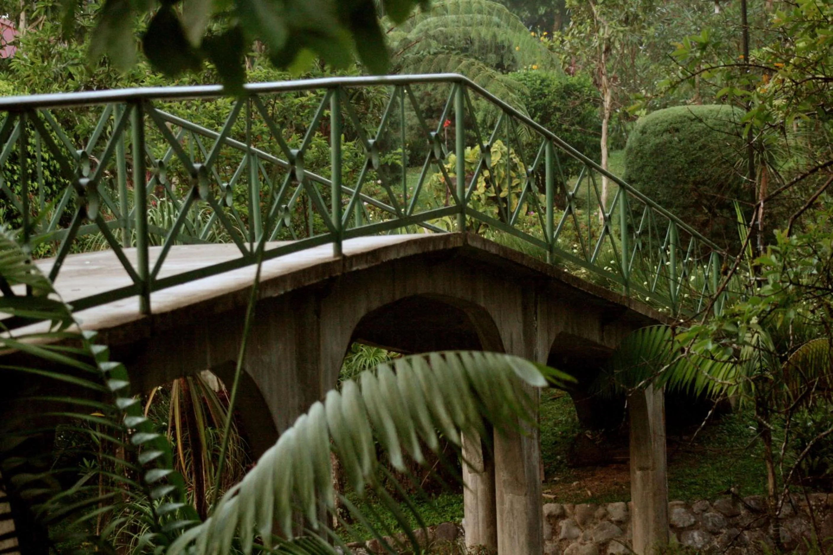 Garden in Park Hotel