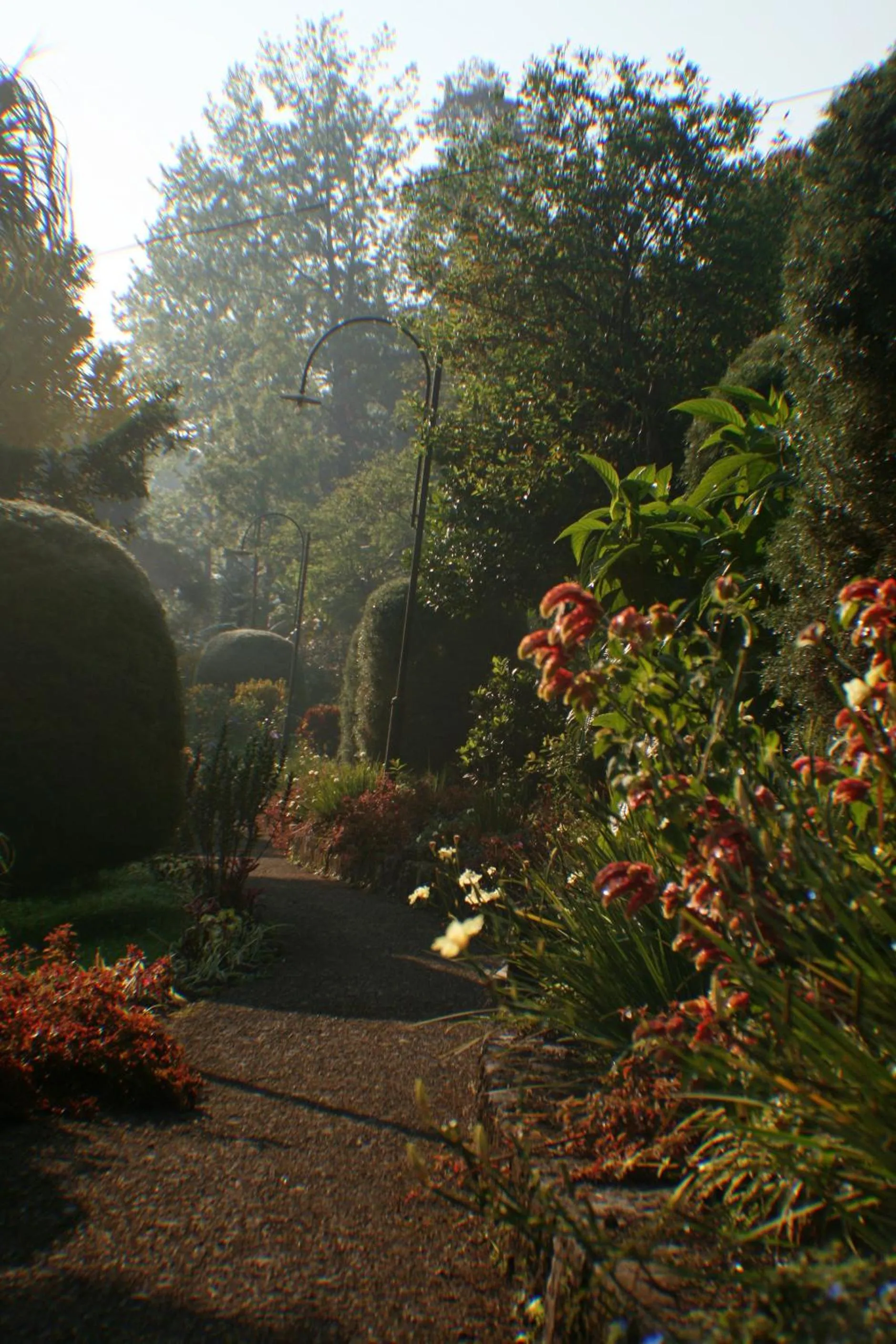 Garden in Park Hotel
