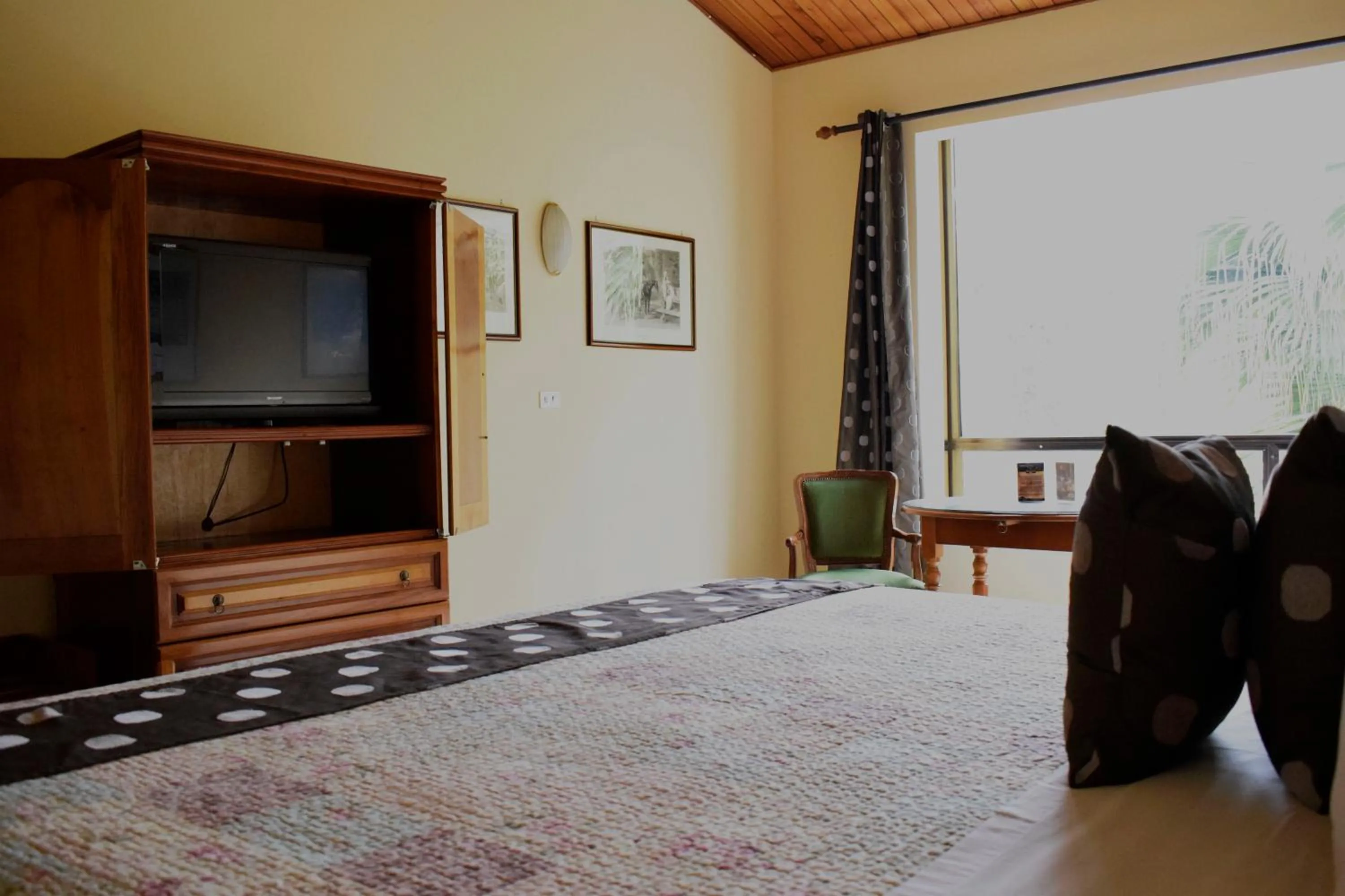 TV and multimedia in Park Hotel