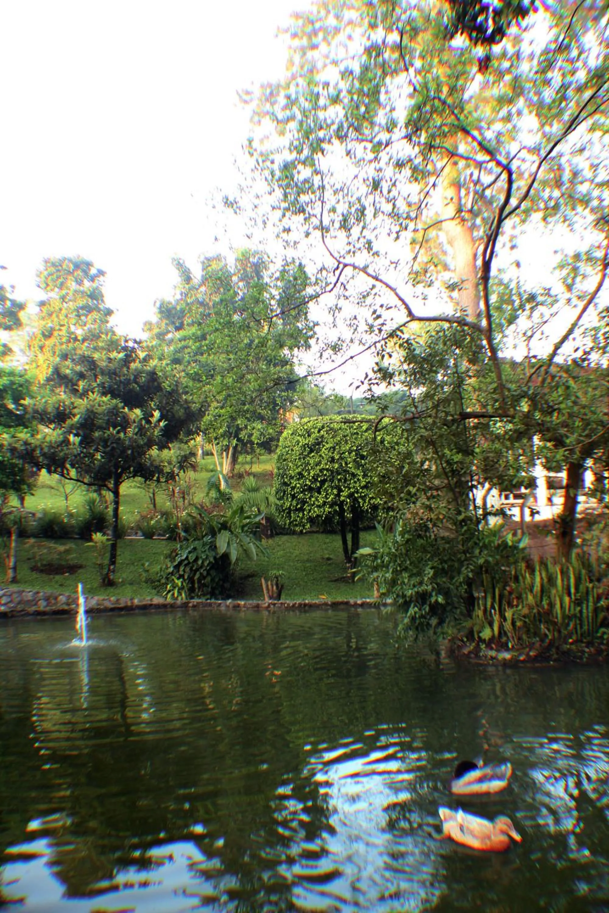 Garden in Park Hotel